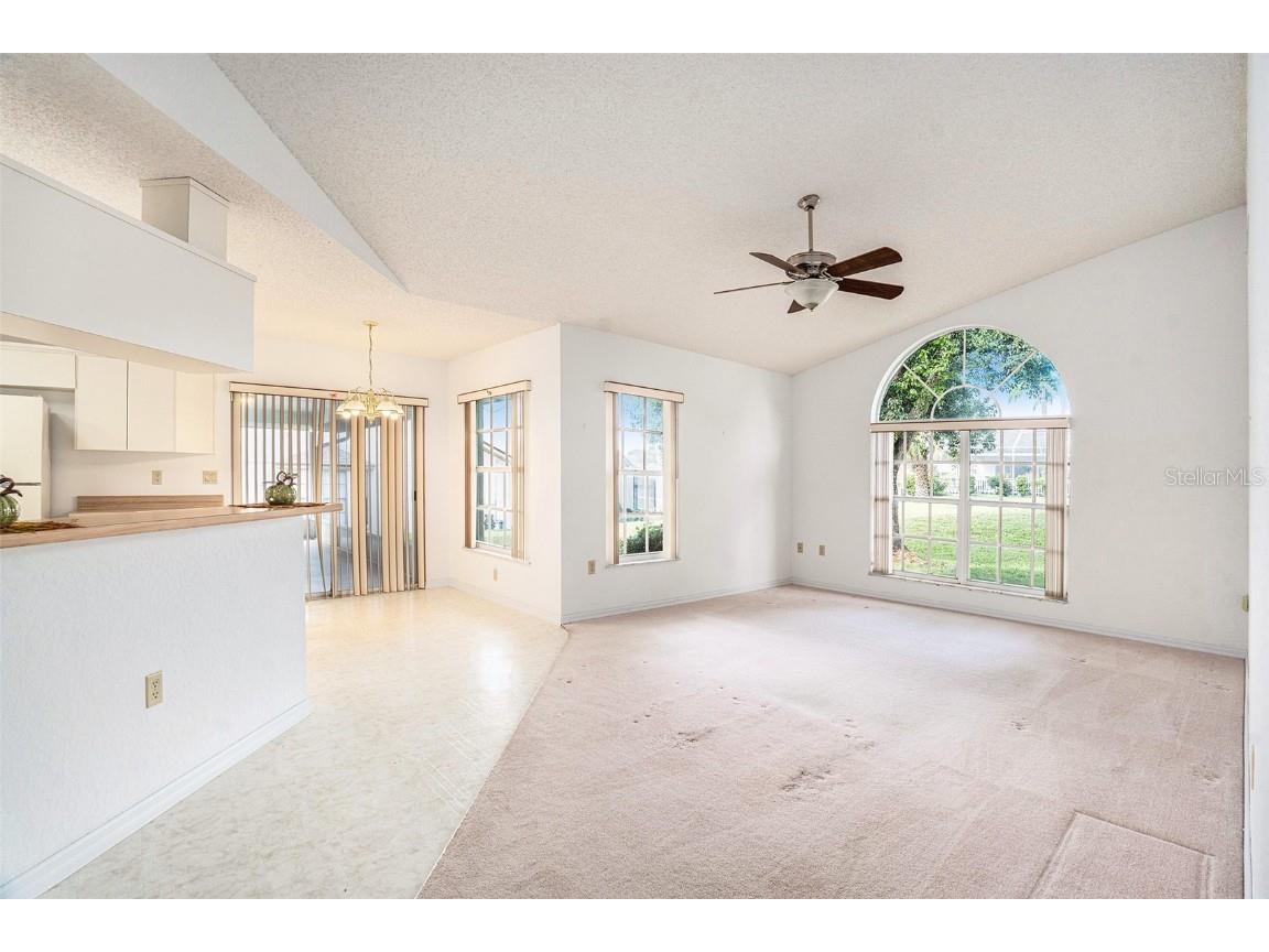 1247 Venetia Drive Spring Hill FL 34608 TB8433744 image6