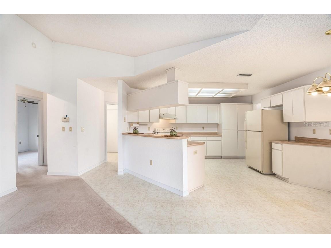 1247 Venetia Drive Spring Hill FL 34608 TB8433744 image7