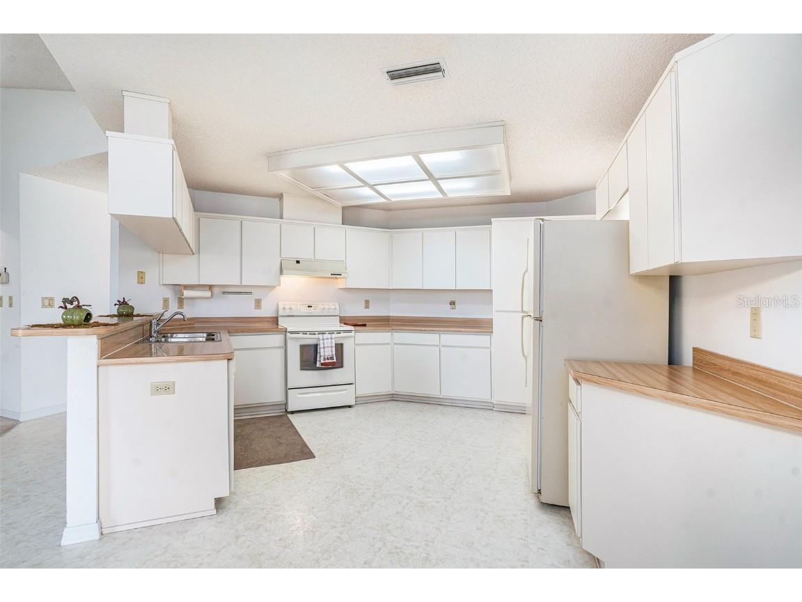 1247 Venetia Drive Spring Hill FL 34608 TB8433744 image8