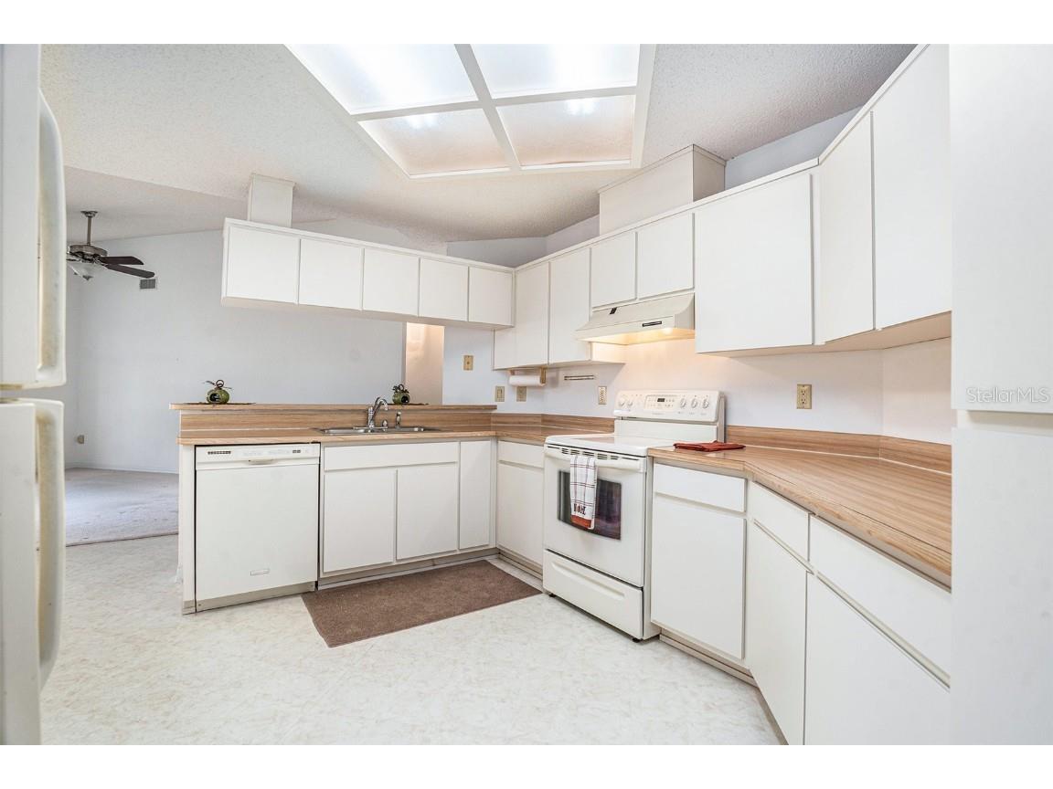 1247 Venetia Drive Spring Hill FL 34608 TB8433744 image9