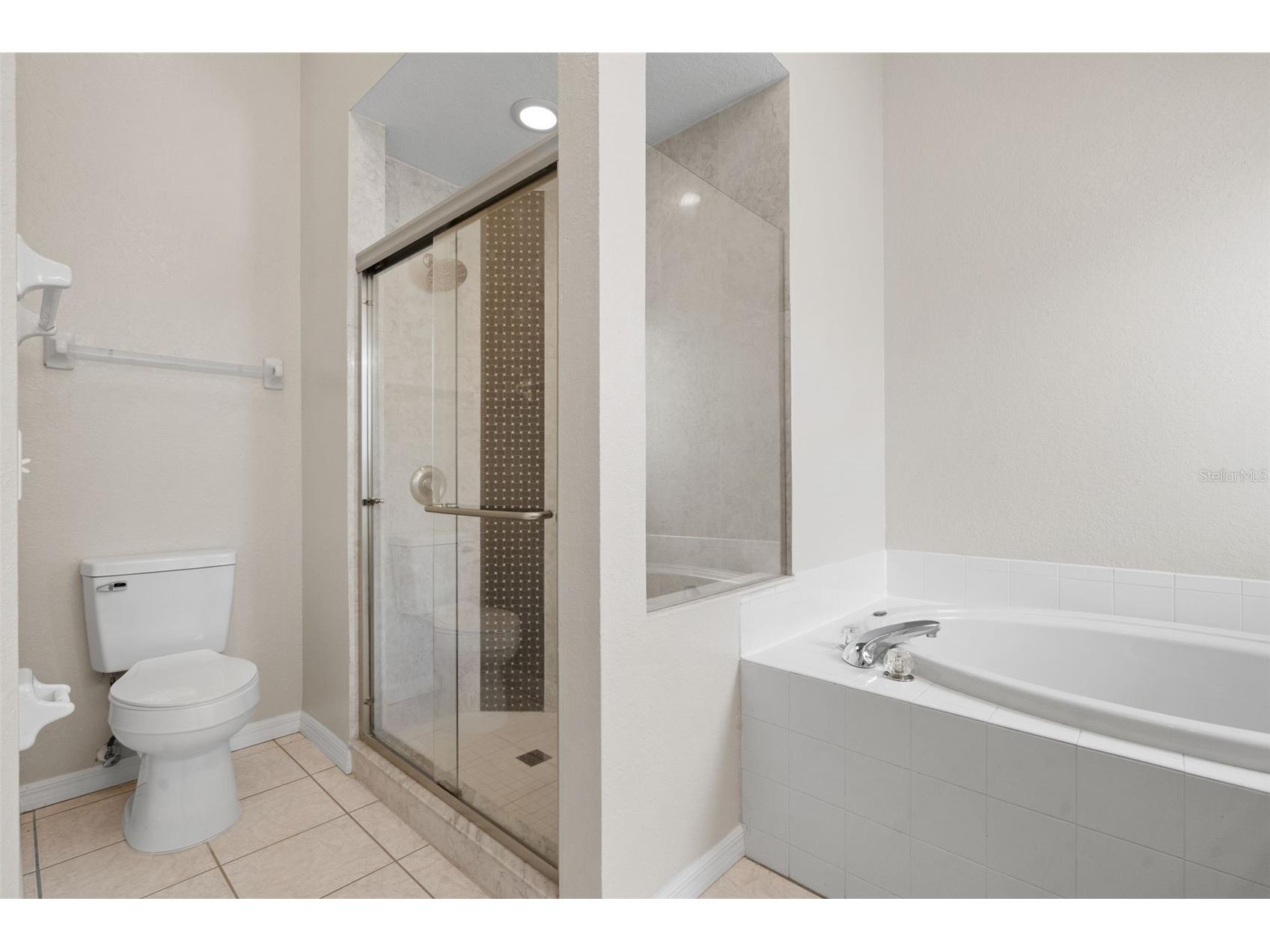 1247 Vinetree Drive Brandon FL 33510 TB8507007 image32