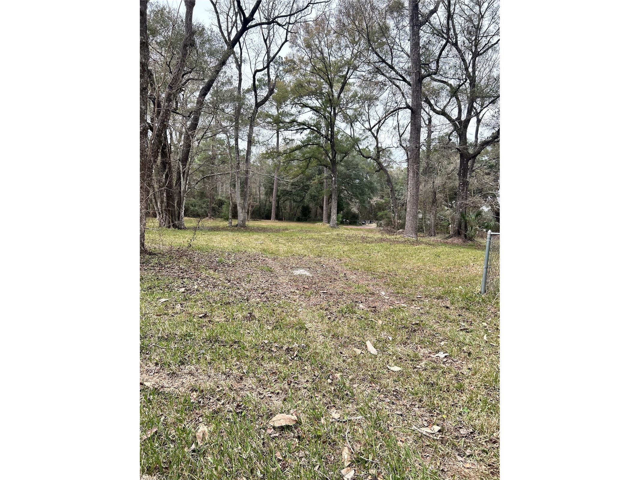 1247 Woodville Highway Crawfordville FL 32327 OM722461 image4