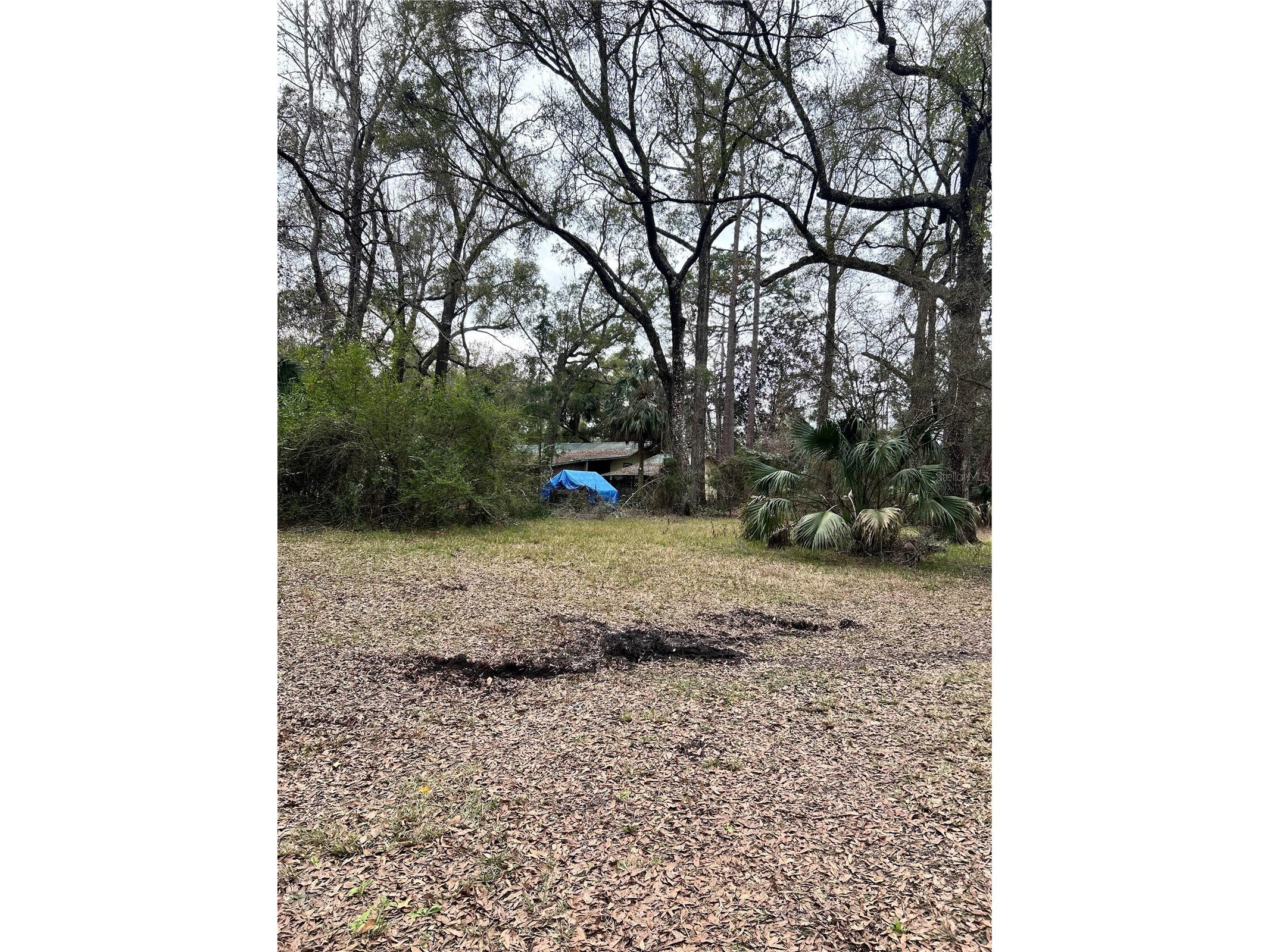 1247 Woodville Highway Crawfordville FL 32327 OM722461 image5