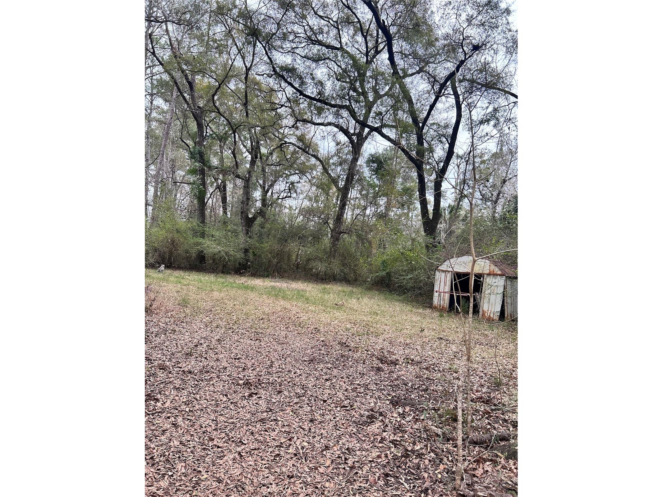 1247 Woodville Highway Crawfordville FL 32327 OM722461 image6