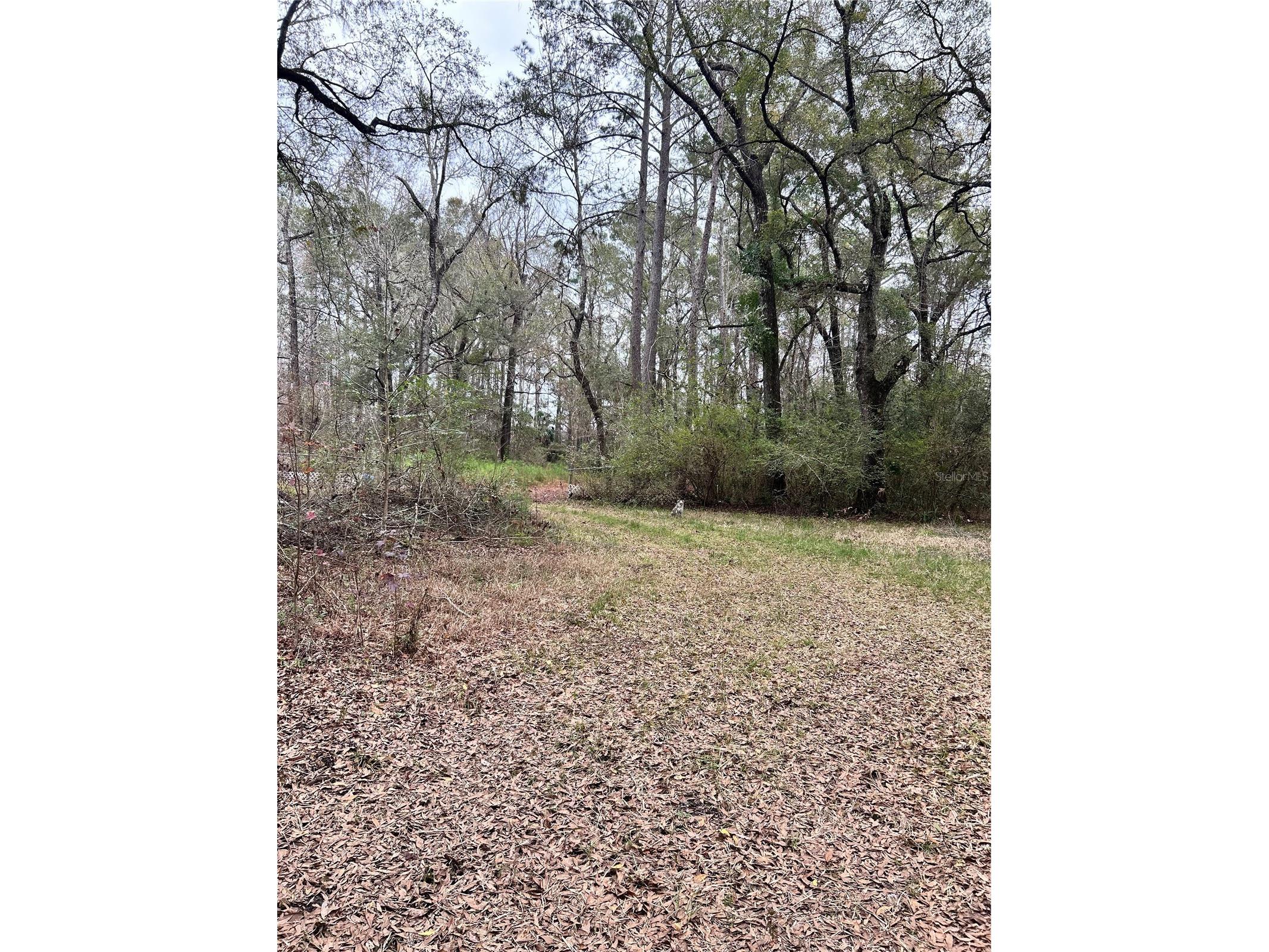 1247 Woodville Highway Crawfordville FL 32327 OM722461 image8