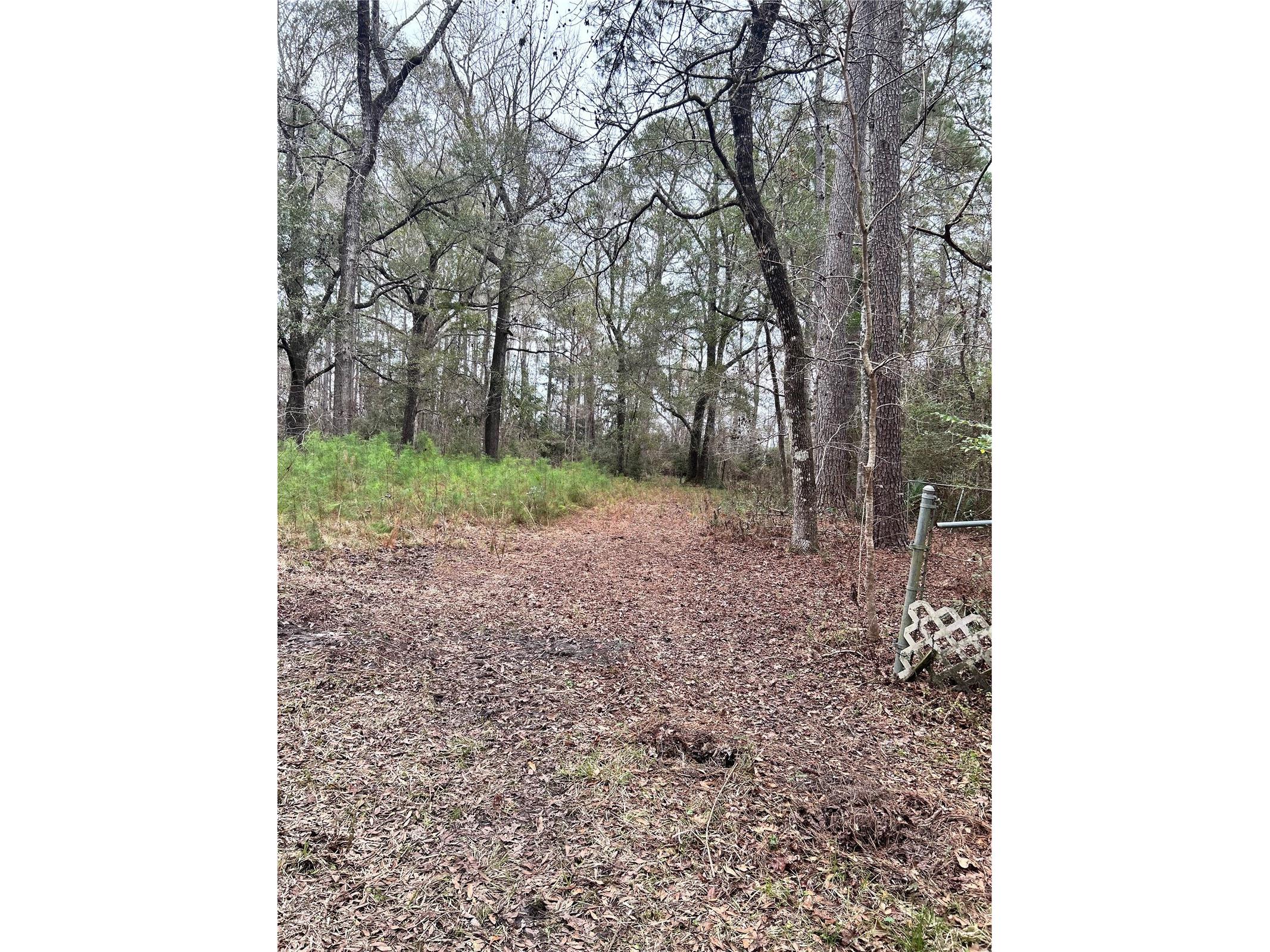 1247 Woodville Highway Crawfordville FL 32327 OM722461 image9