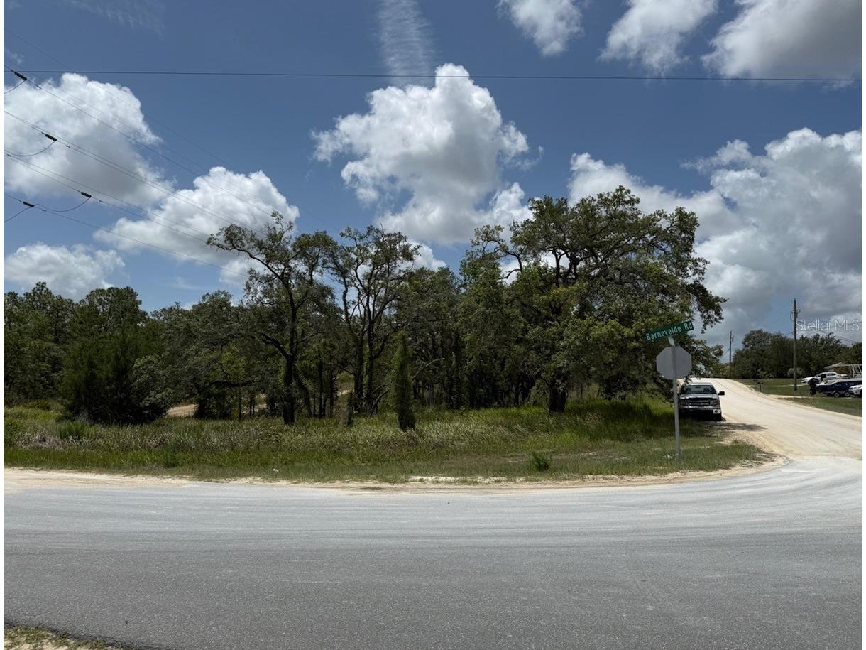 12470 Barnevelde Road Brooksville FL 34614 O6313149 image1