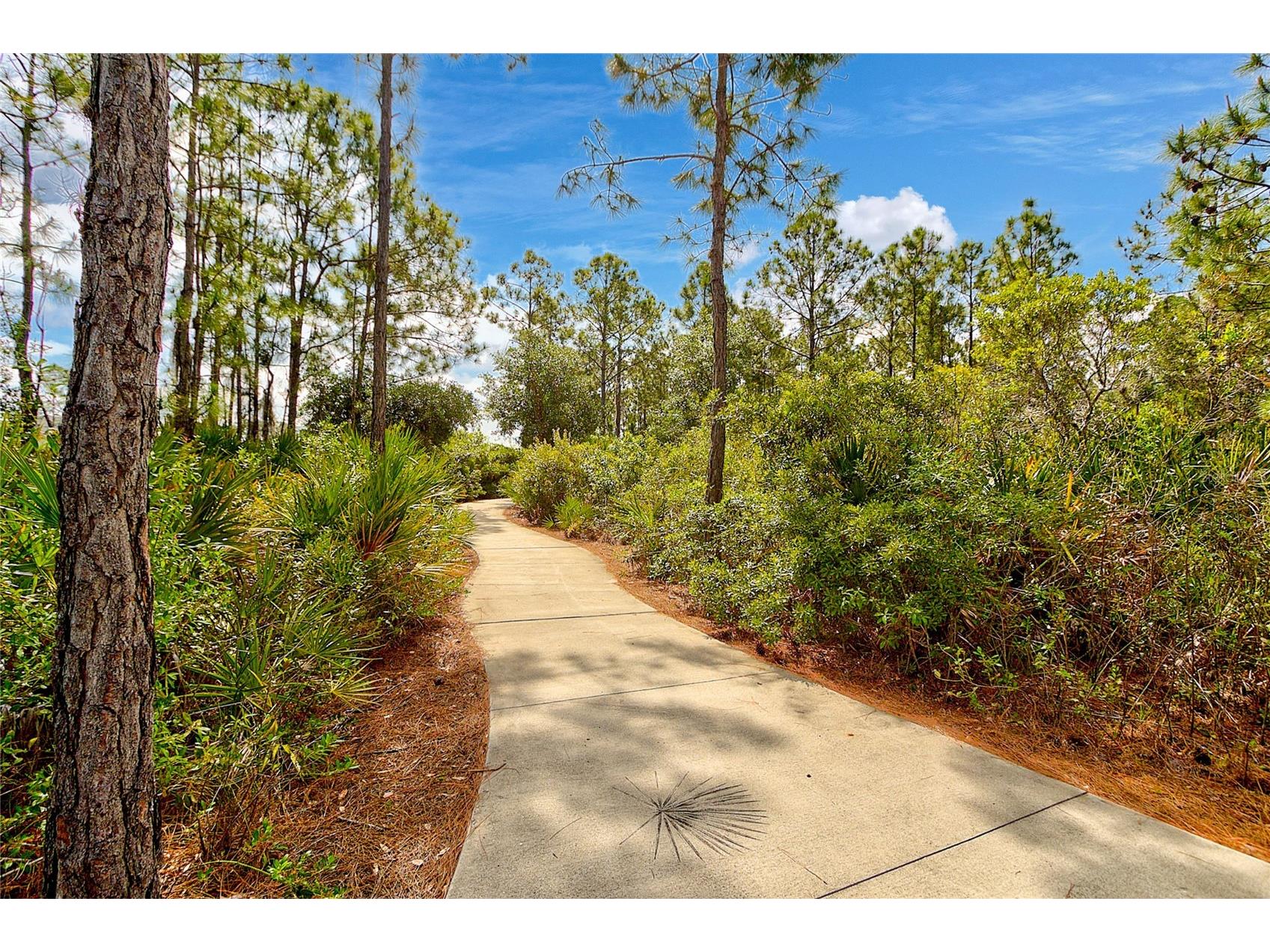 12471 Sagewood Drive Venice FL 34293 N6142328 image47