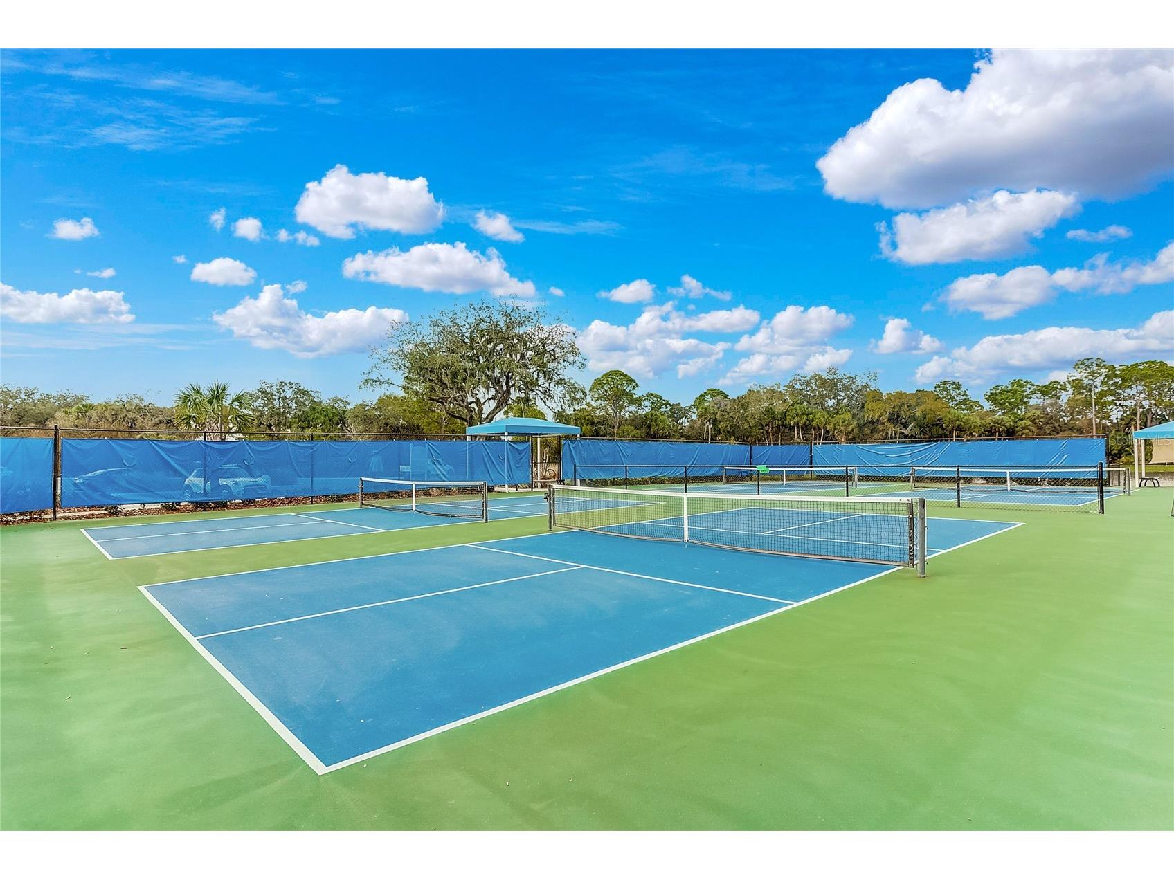 12471 Sagewood Drive Venice FL 34293 N6142328 image56