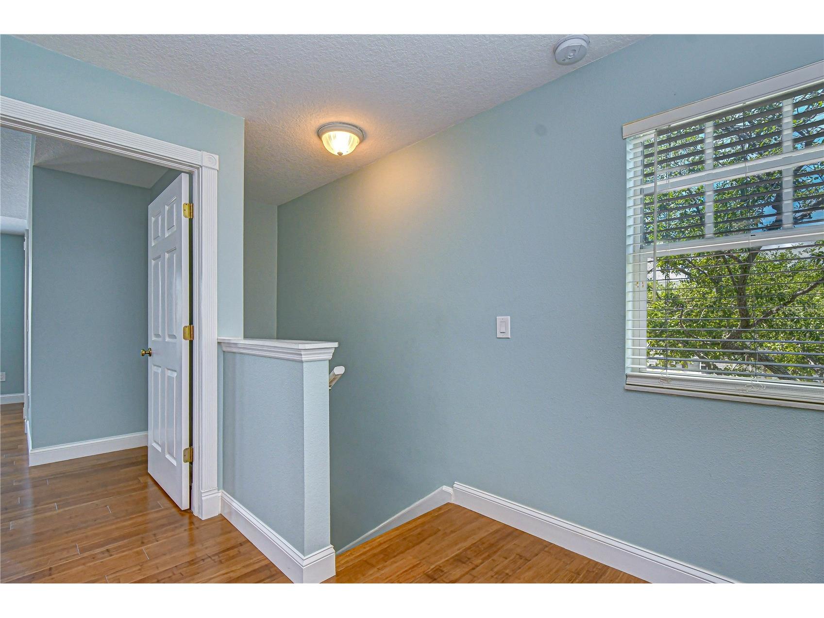 12473 Country White Circle Tampa FL 33635 TB8502958 image22