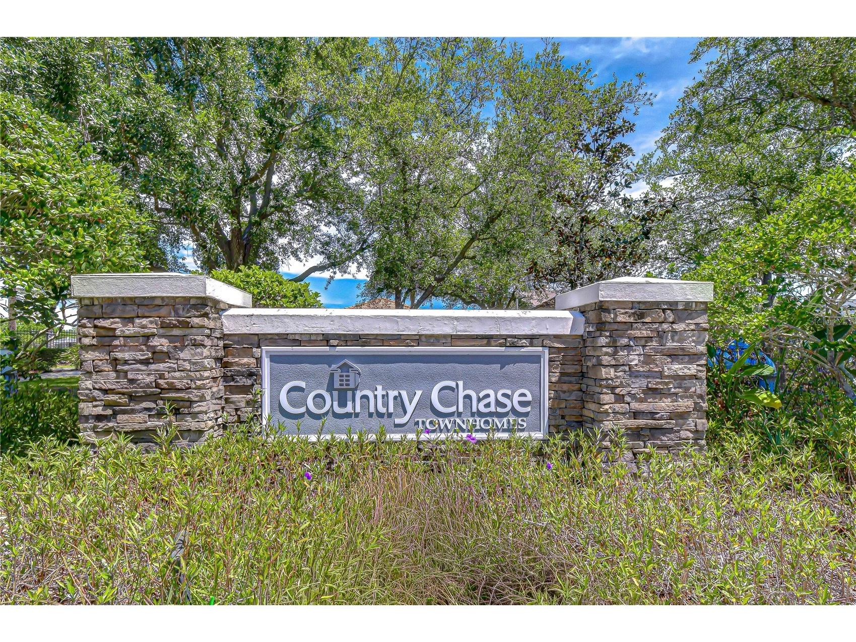 12473 Country White Circle Tampa FL 33635 TB8502958 image29