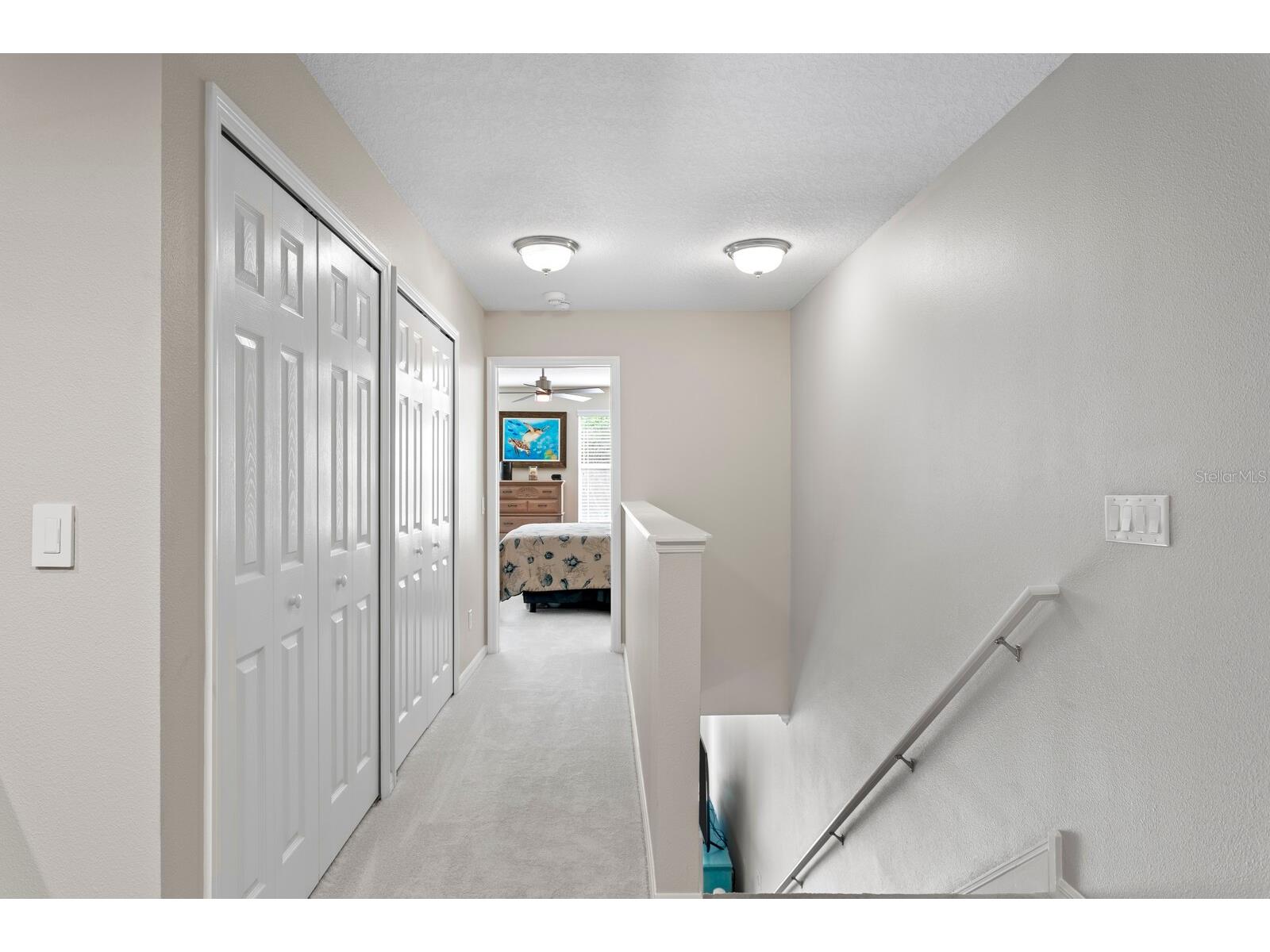 12474 Streamdale Drive Tampa FL 33626 TB8501102 image24