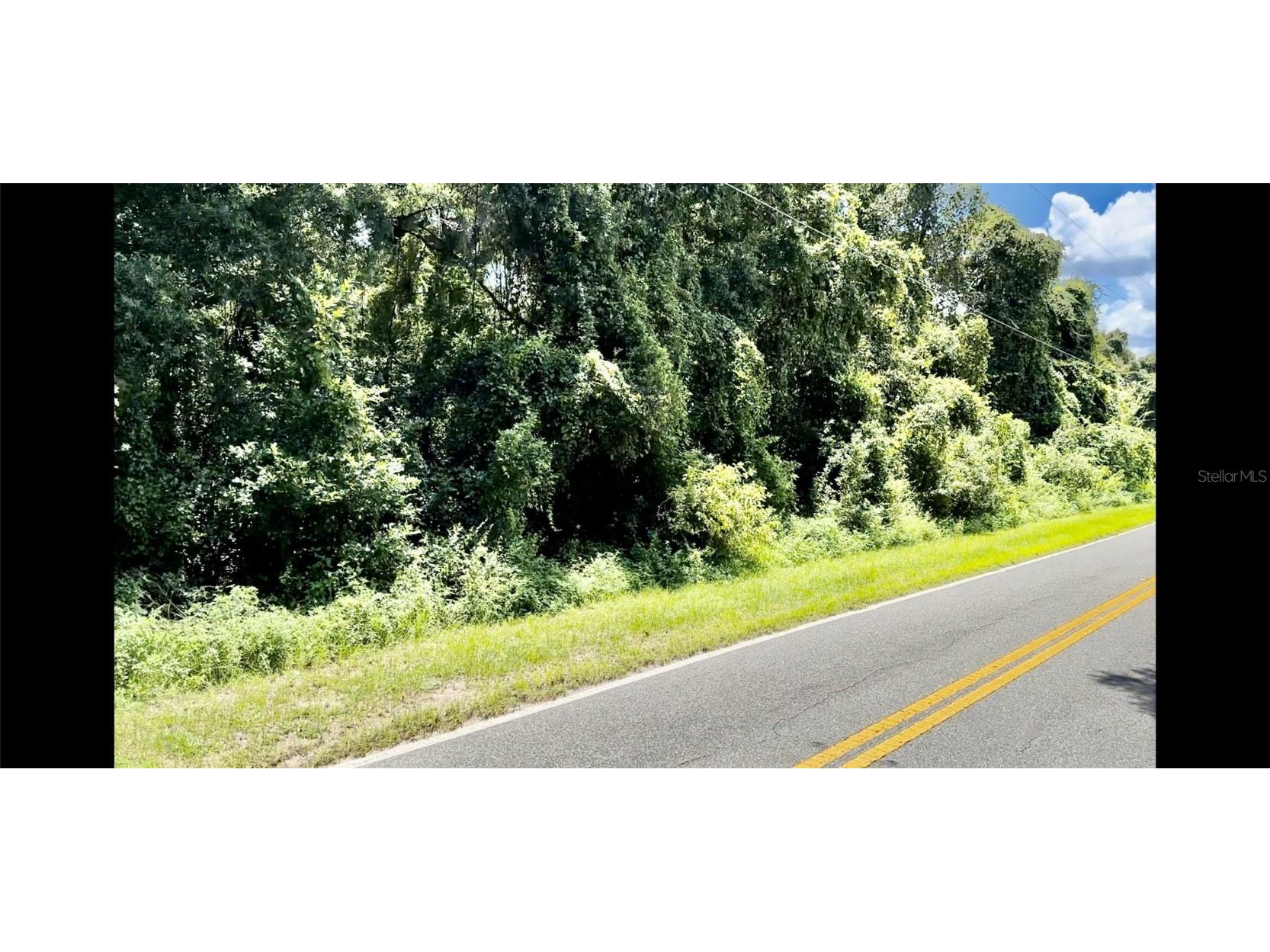 12475 S Istachatta Road Floral City FL 34436 U8255525 image1