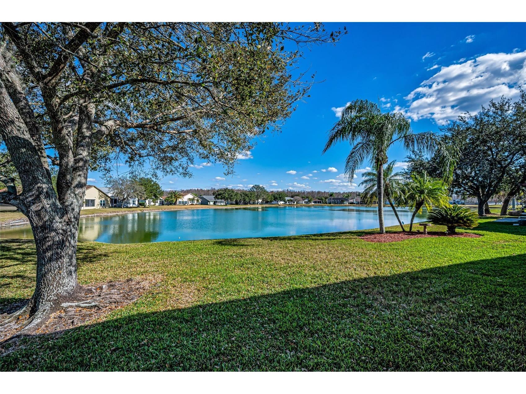 1248 Ashbourne Circle Trinity FL 34655 TB8468669 image27