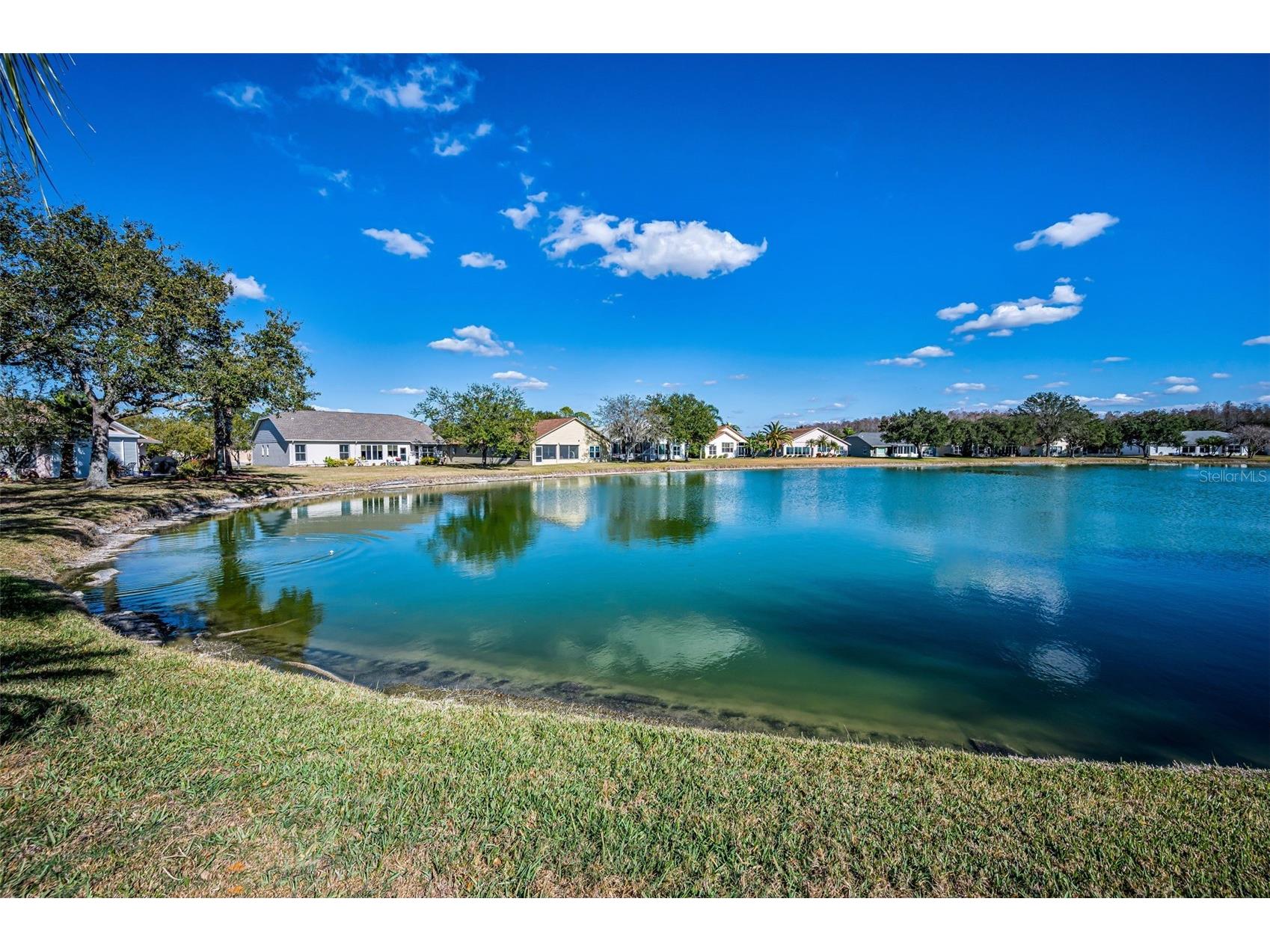 1248 Ashbourne Circle Trinity FL 34655 TB8468669 image28