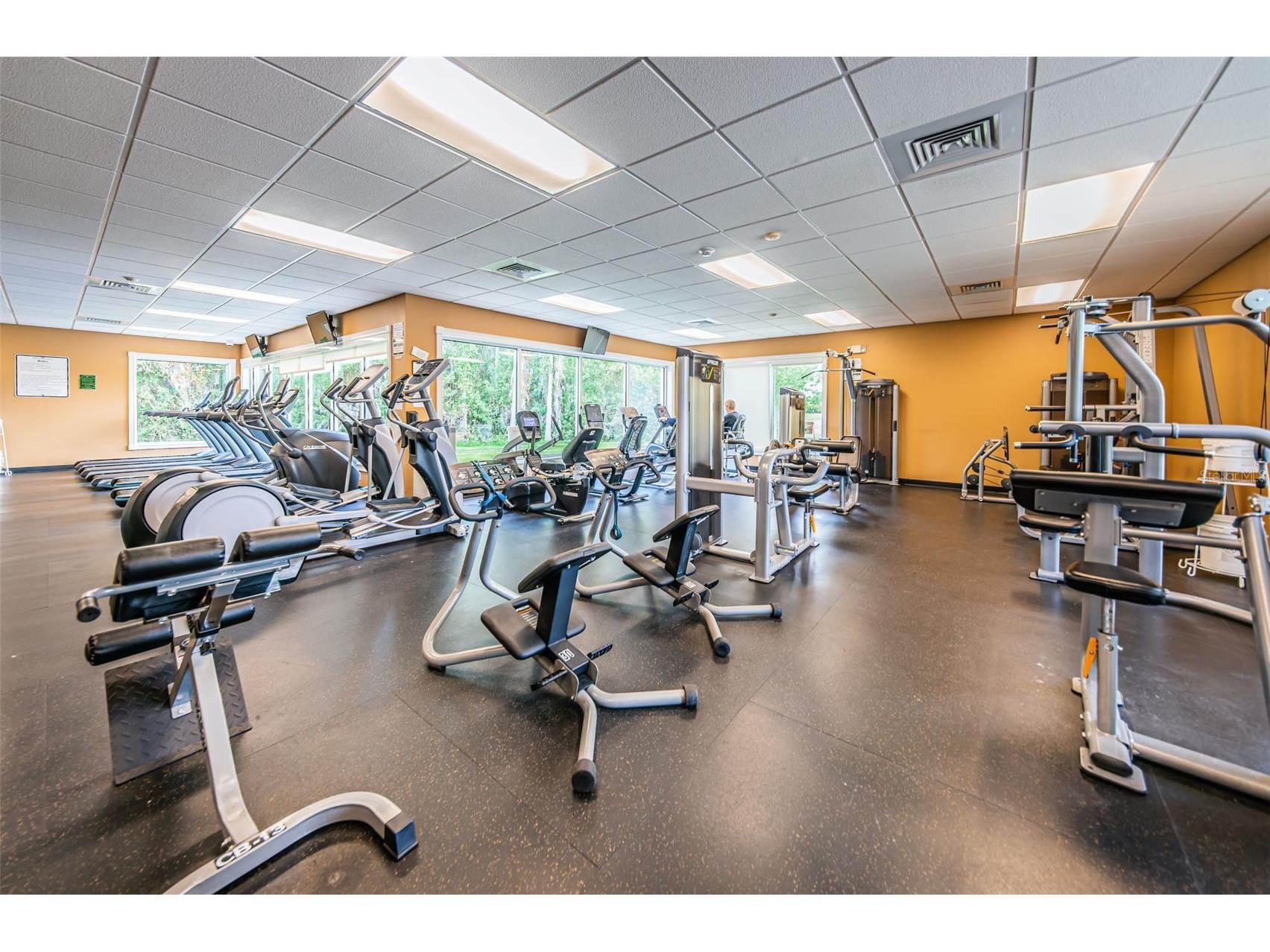 1248 Ashbourne Circle Trinity FL 34655 TB8468669 image51