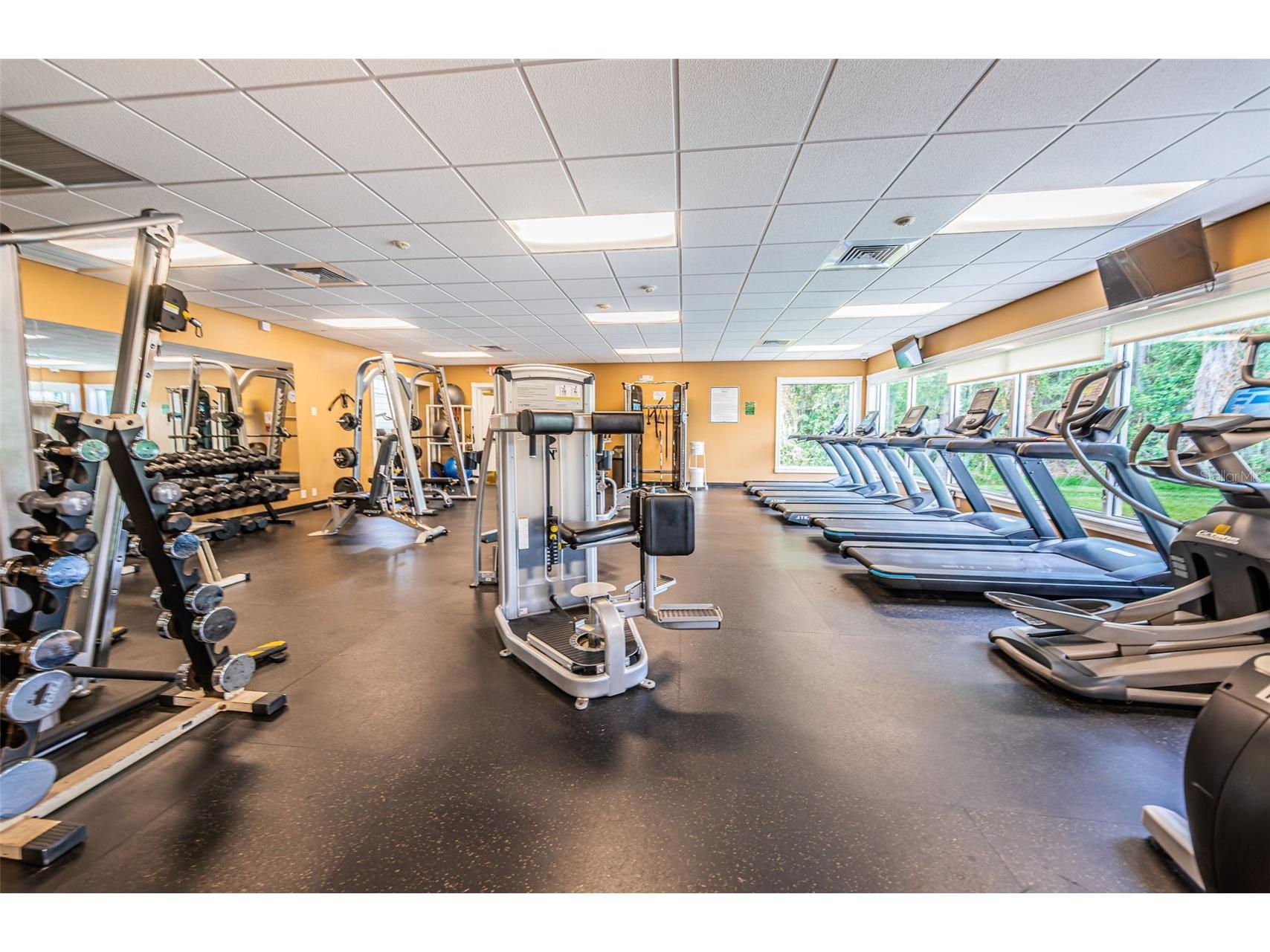 1248 Ashbourne Circle Trinity FL 34655 TB8468669 image52