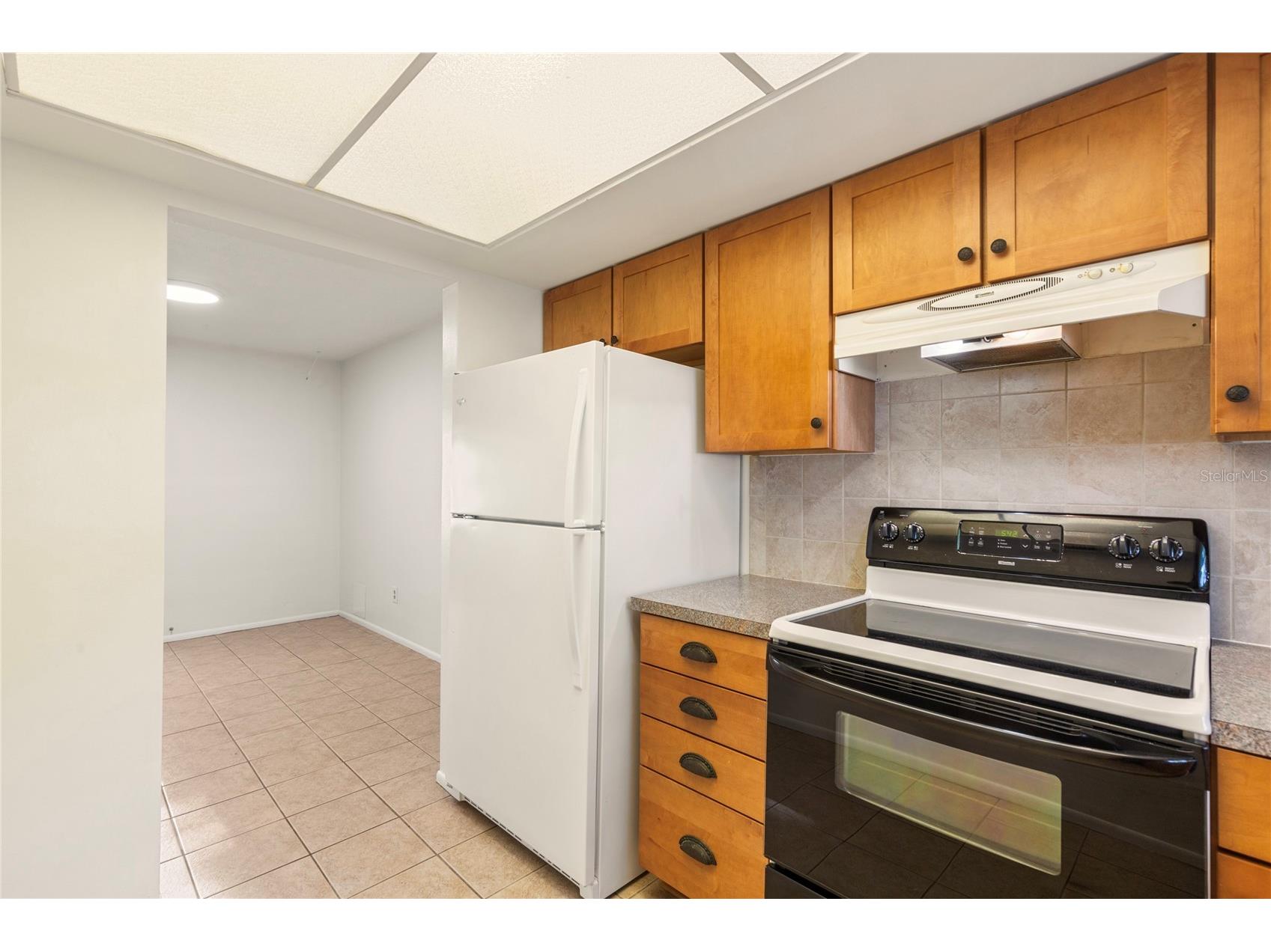 1248 Lazy Lake Road W Dunedin FL 34698 TB8493847 image3