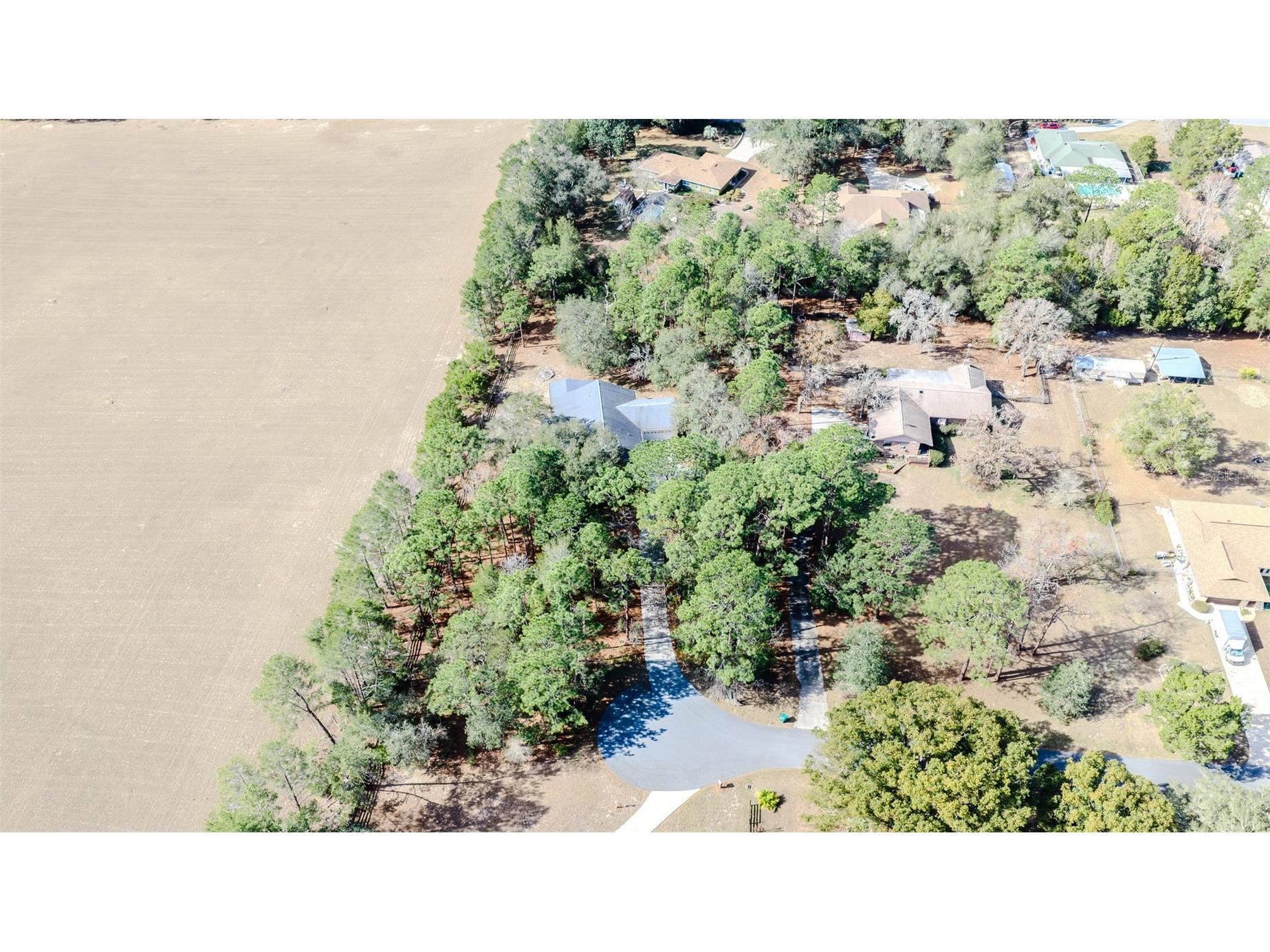 12480 S Fern Point Floral City FL 34436 TB8463685 image46