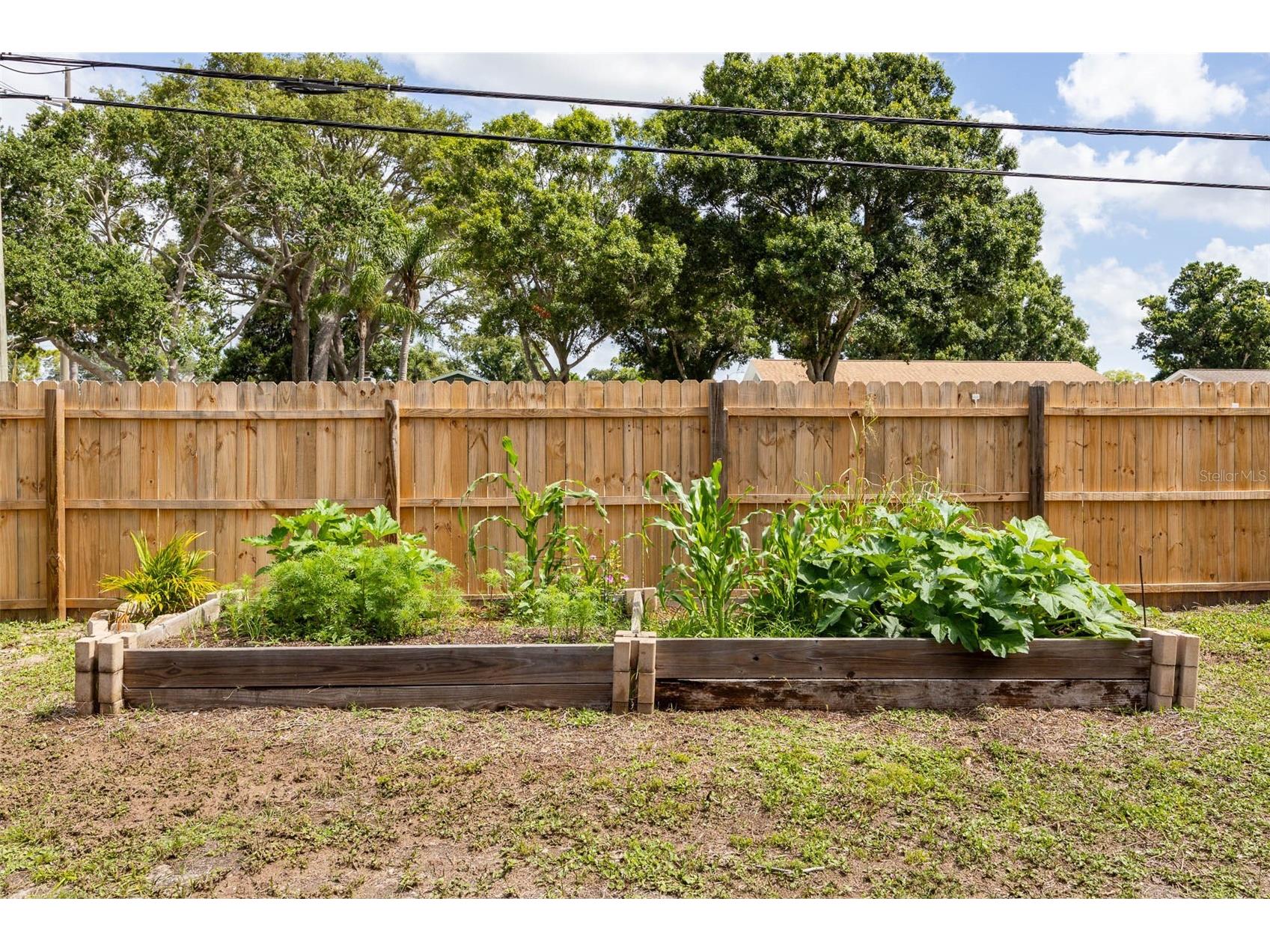 12481 Regency Avenue Seminole FL 33772 A4693228 image44