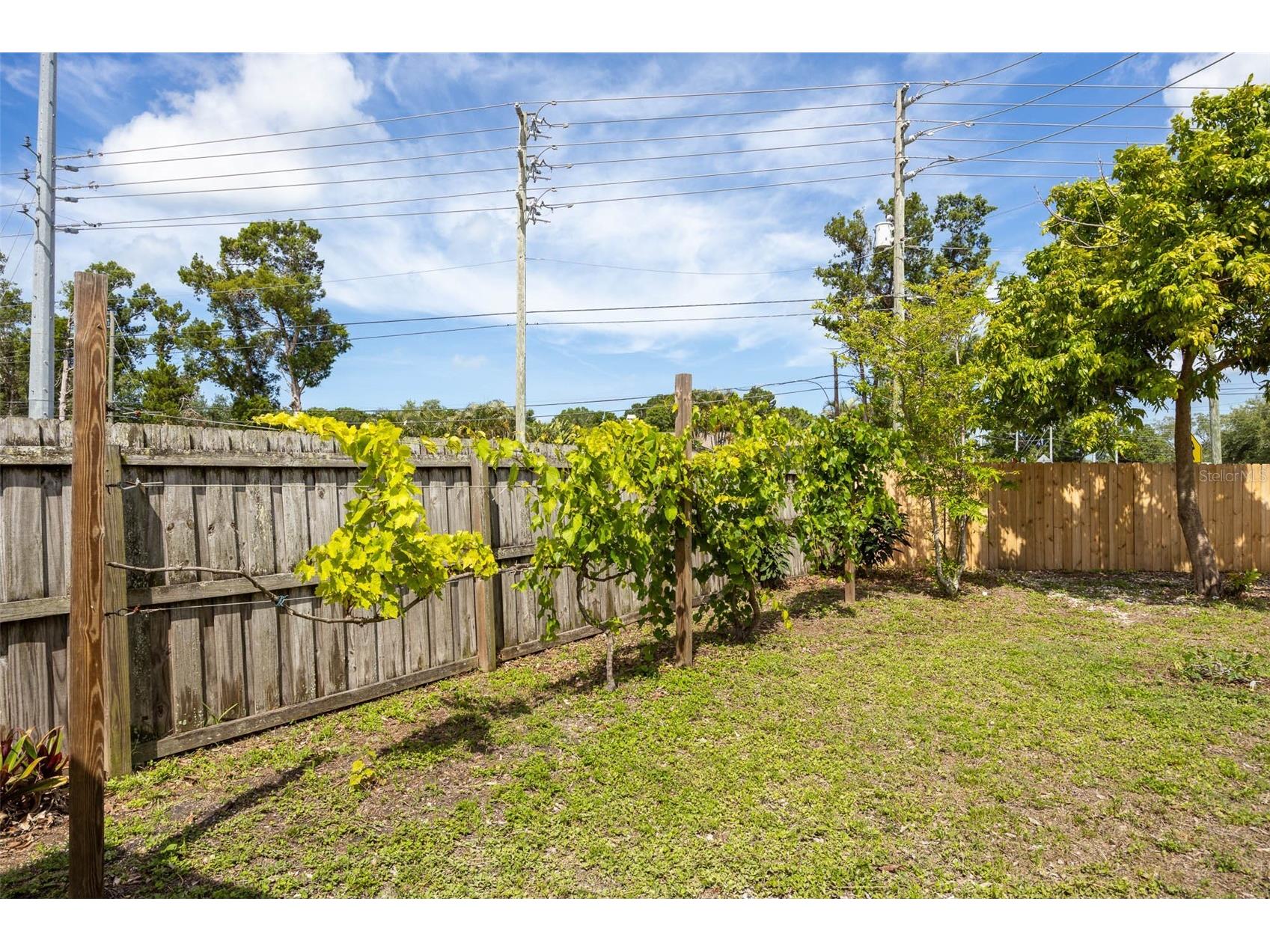 12481 Regency Avenue Seminole FL 33772 A4693228 image47