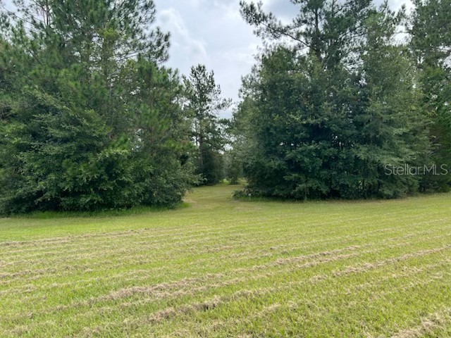 12482 161st Road Live Oak FL 32060 TB8514136 image14