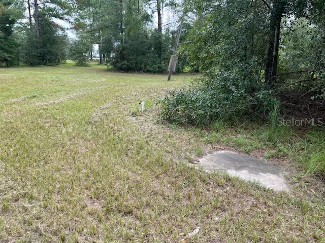 12482 161st Road Live Oak FL 32060 TB8514136 image17