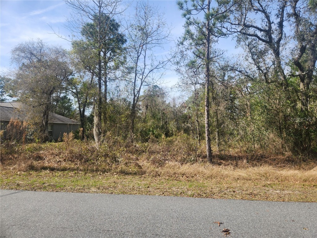 12487 Hooker Road Weeki Wachee FL 34614 A4599326 image1