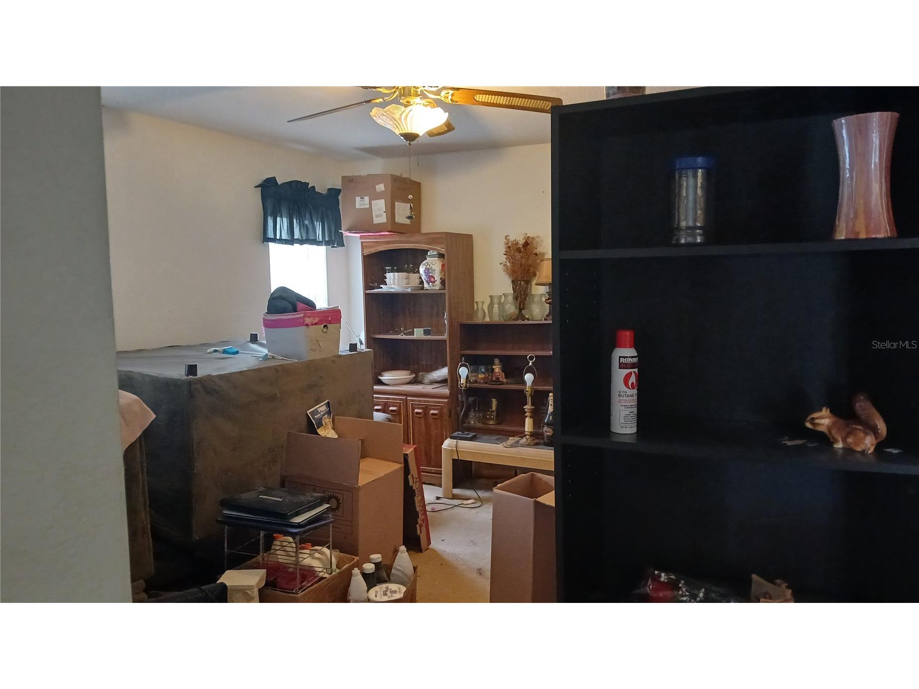 12487 Killian Street Spring Hill FL 34609 TB8509538 image7
