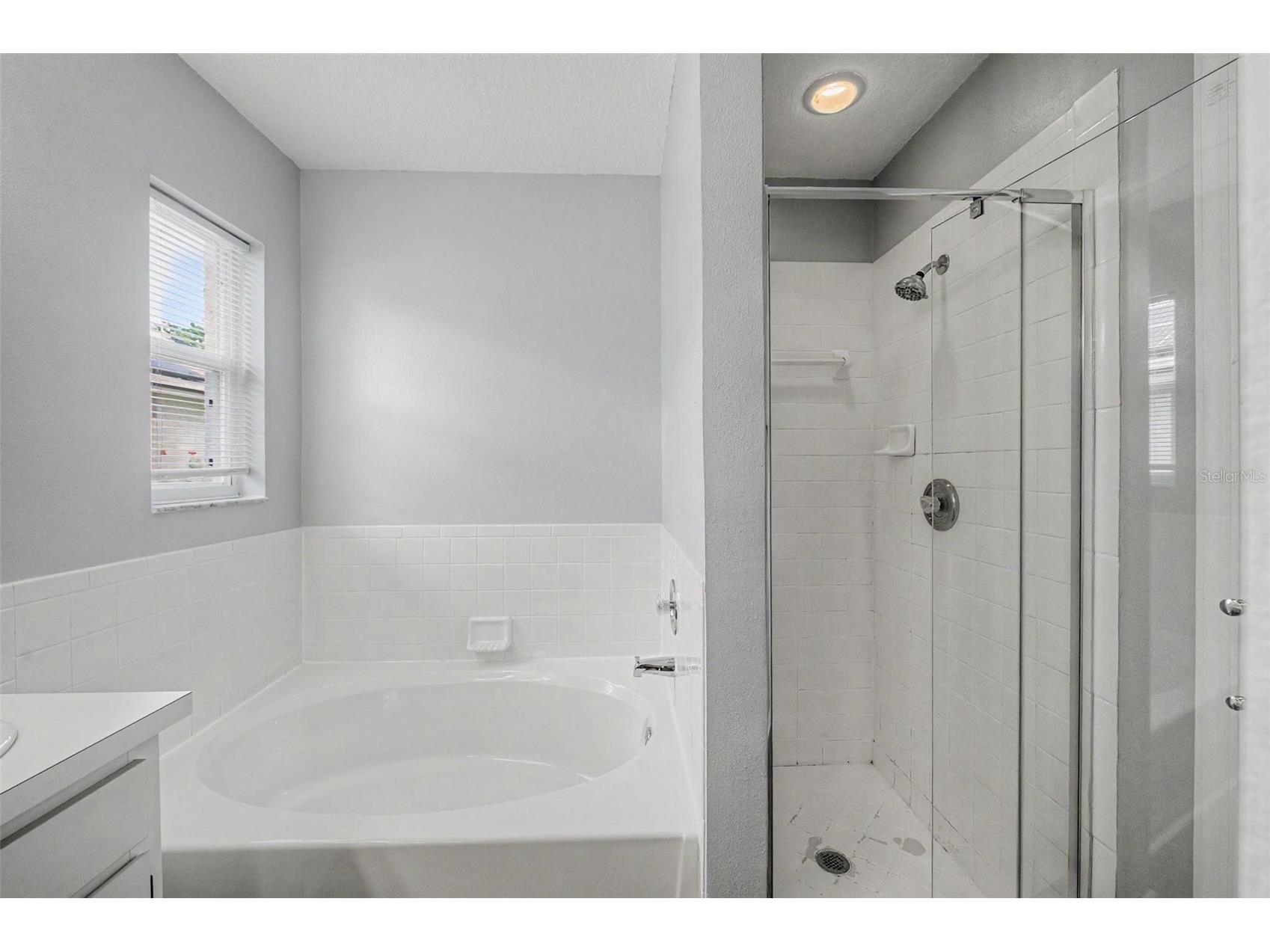 1249 Big Sky Drive Wesley Chapel FL 33543 TB8517428 image26