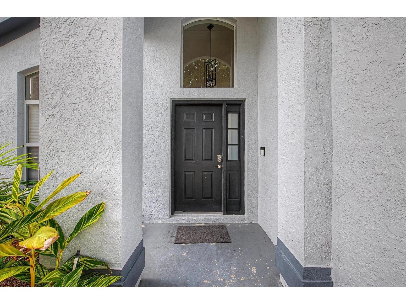 1249 Big Sky Drive Wesley Chapel FL 33543 TB8517428 image4