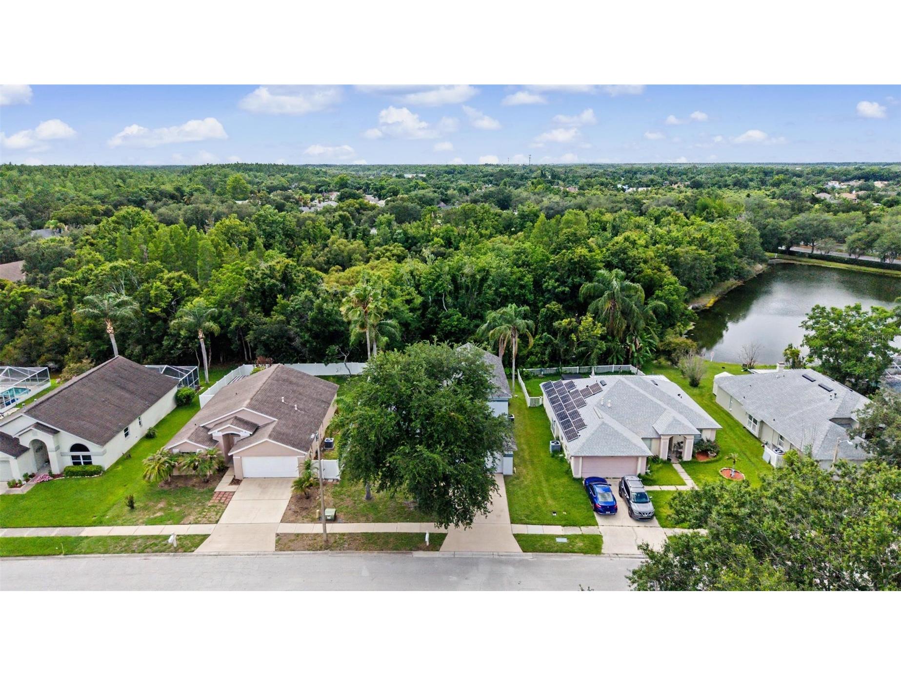1249 Big Sky Drive Wesley Chapel FL 33543 TB8517428 image42
