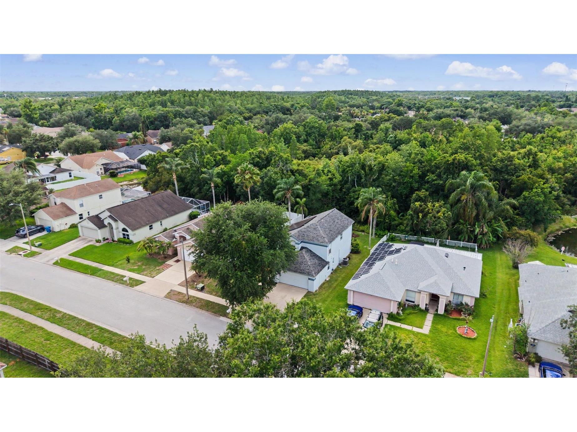 1249 Big Sky Drive Wesley Chapel FL 33543 TB8517428 image43