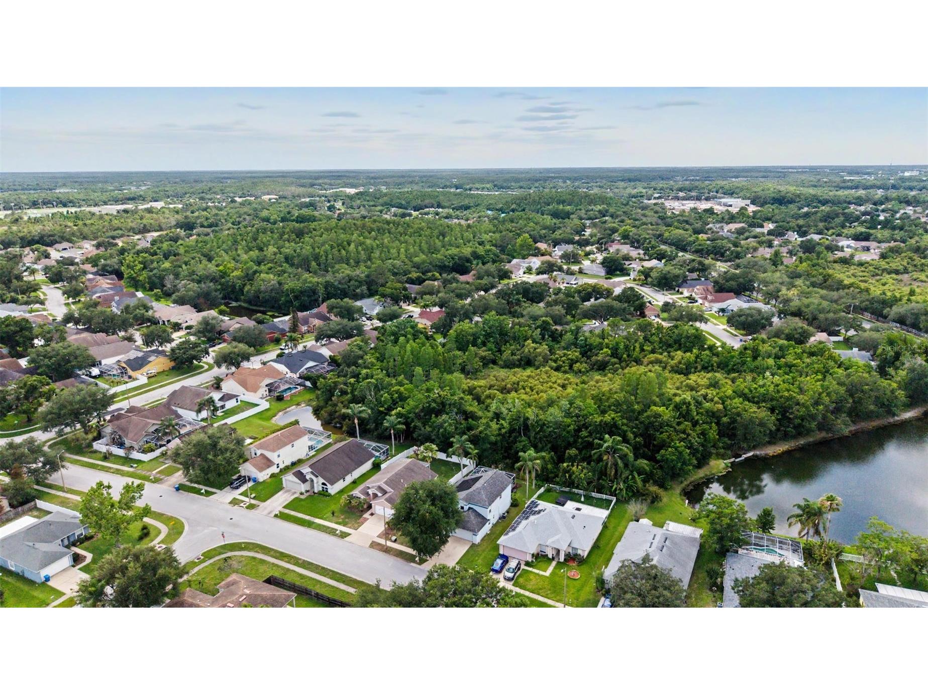 1249 Big Sky Drive Wesley Chapel FL 33543 TB8517428 image44