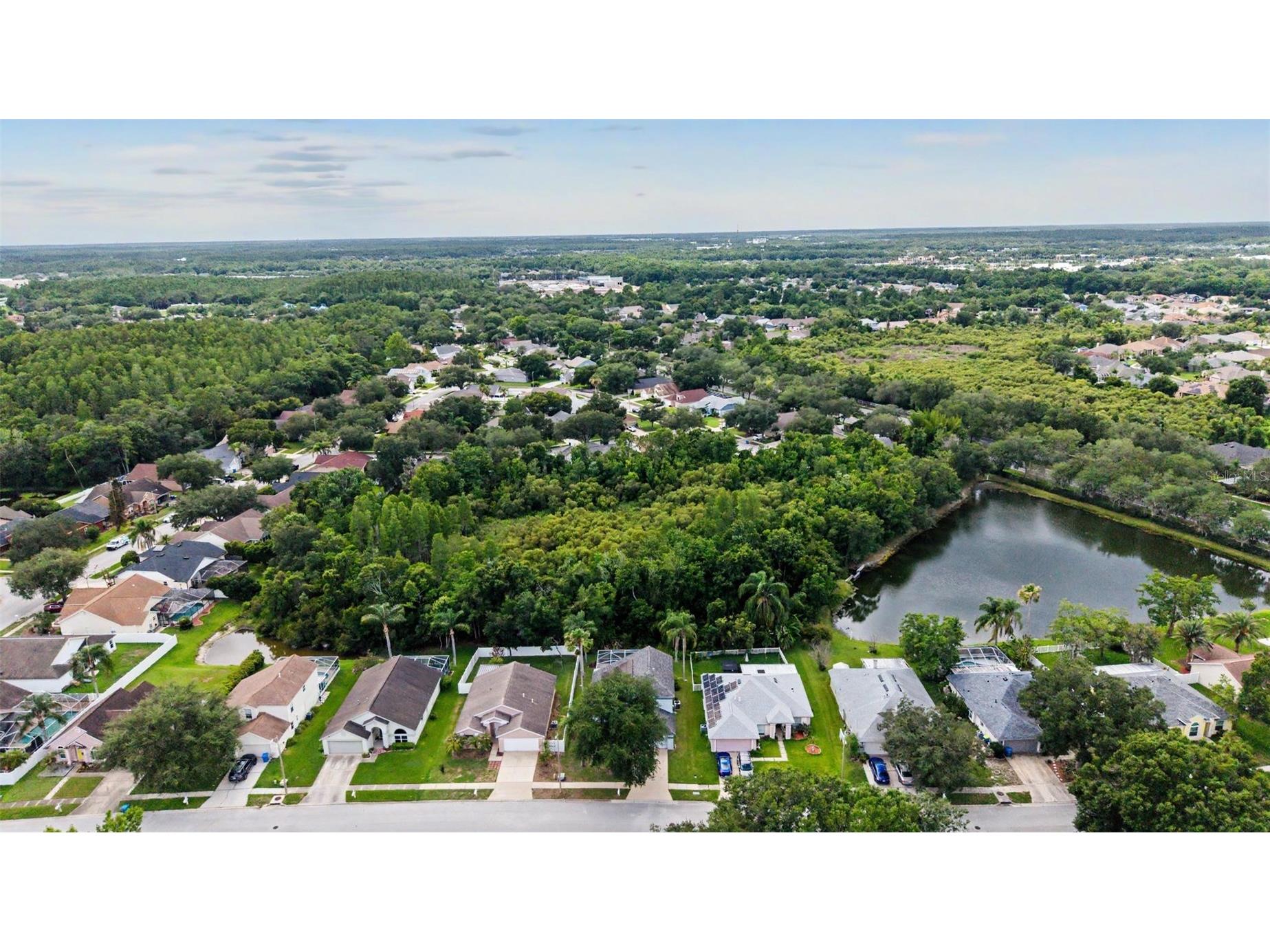 1249 Big Sky Drive Wesley Chapel FL 33543 TB8517428 image45