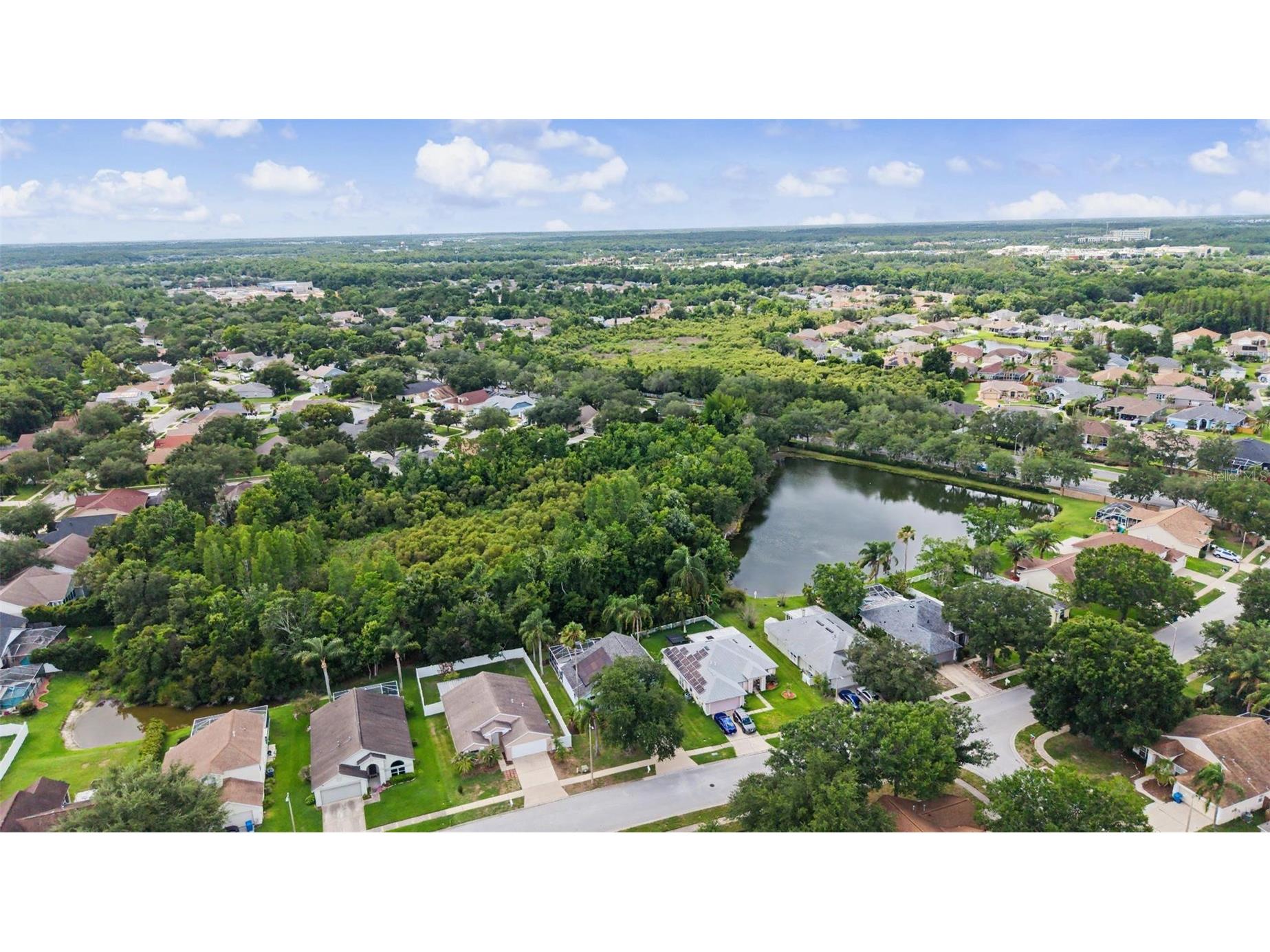 1249 Big Sky Drive Wesley Chapel FL 33543 TB8517428 image46