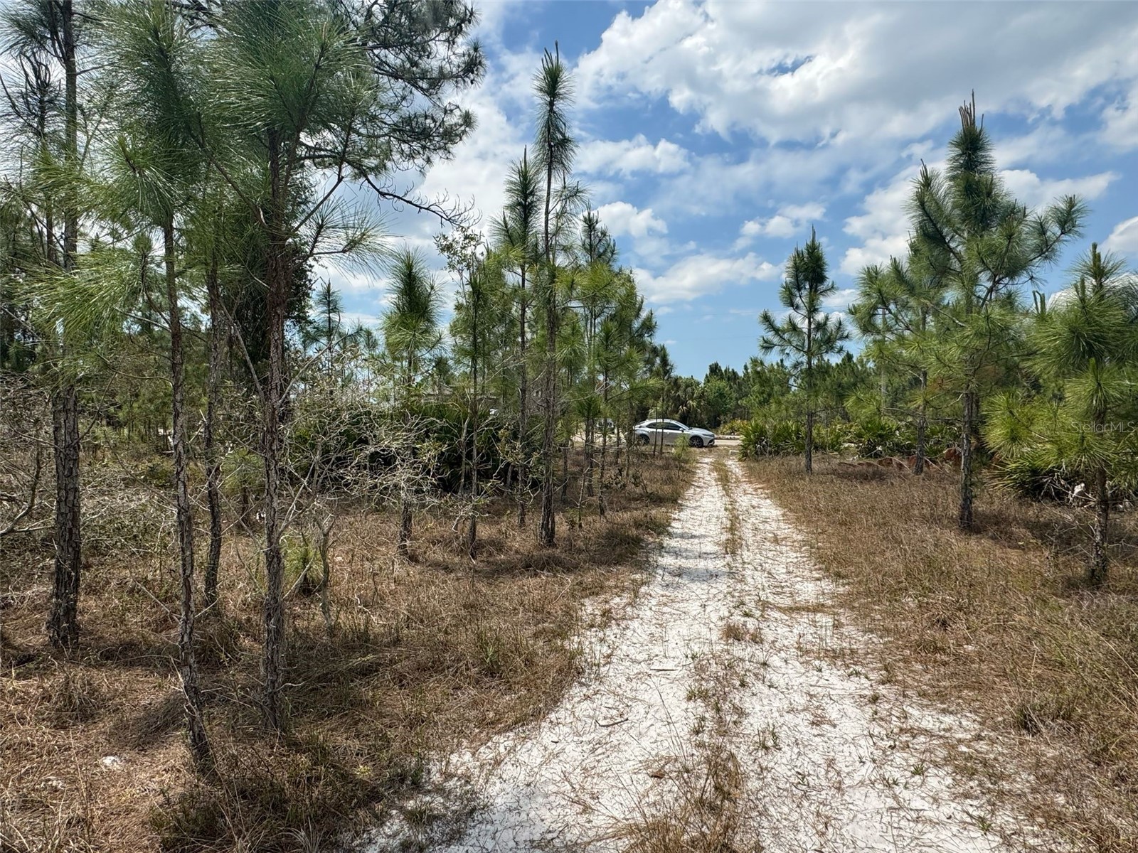 1249 Bowles Avenue Fort Myers FL 33913 O6304261 image2