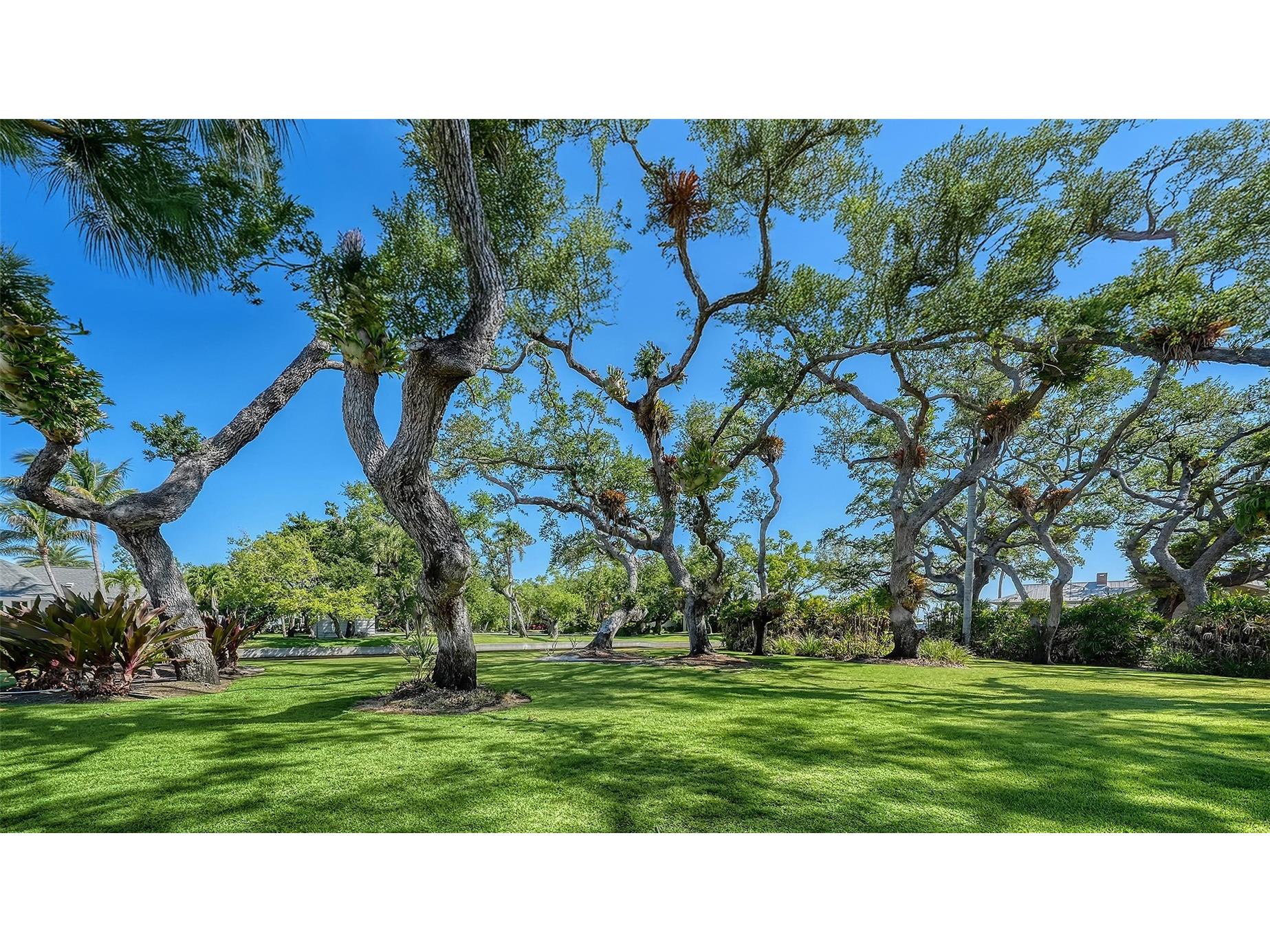 1249 S Basin Lane Sarasota FL 34242 - LITTLE SARASOTA BAY A4690355 image5