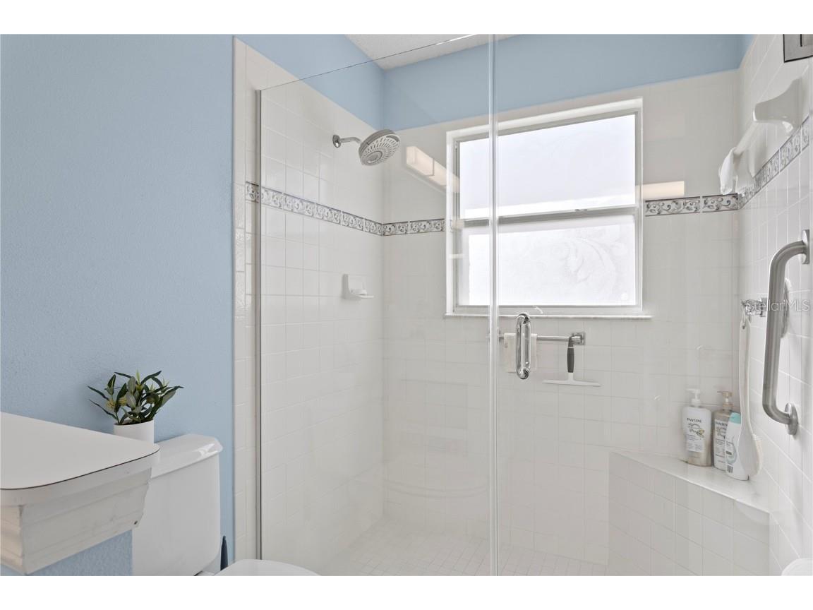 1249 Winding Willow Drive Trinity FL 34655 TB8437804 image29