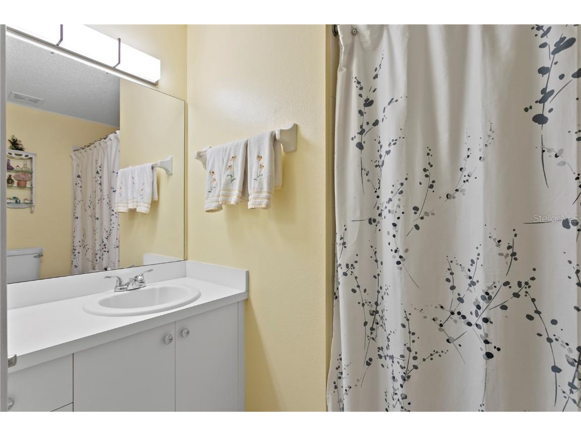 1249 Winding Willow Drive Trinity FL 34655 TB8437804 image32