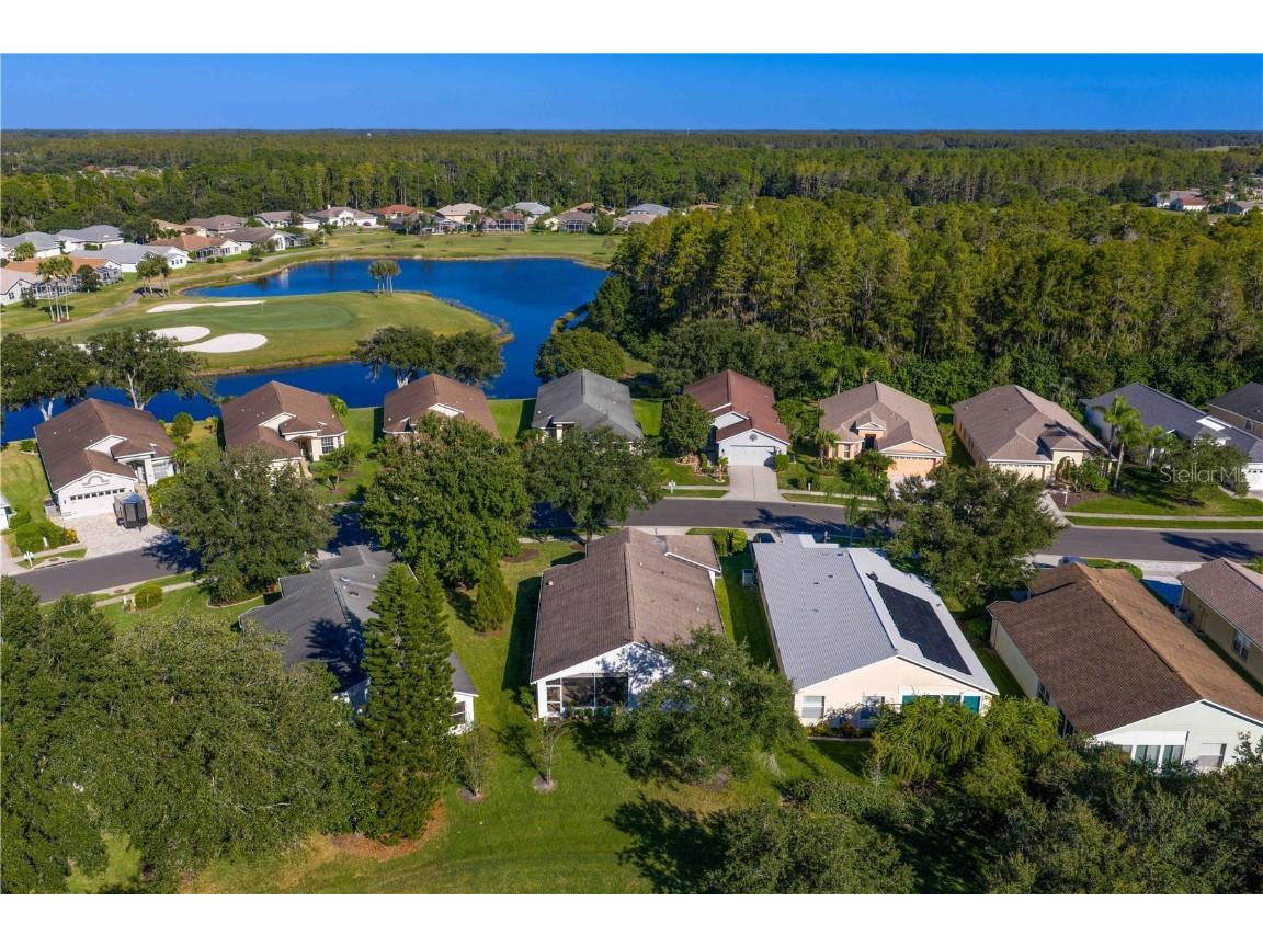 1249 Winding Willow Drive Trinity FL 34655 TB8437804 image41