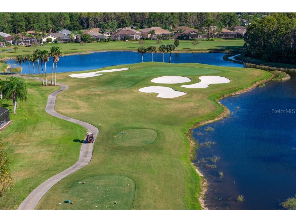 1249 Winding Willow Drive Trinity FL 34655 TB8437804 image49