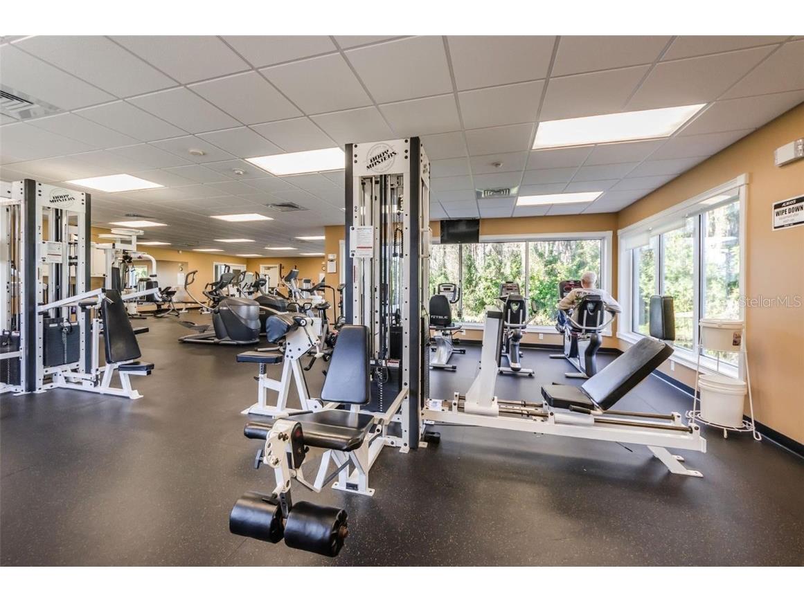 1249 Winding Willow Drive Trinity FL 34655 TB8437804 image57