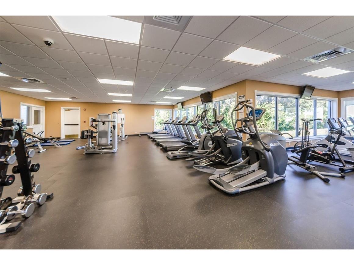 1249 Winding Willow Drive Trinity FL 34655 TB8437804 image58