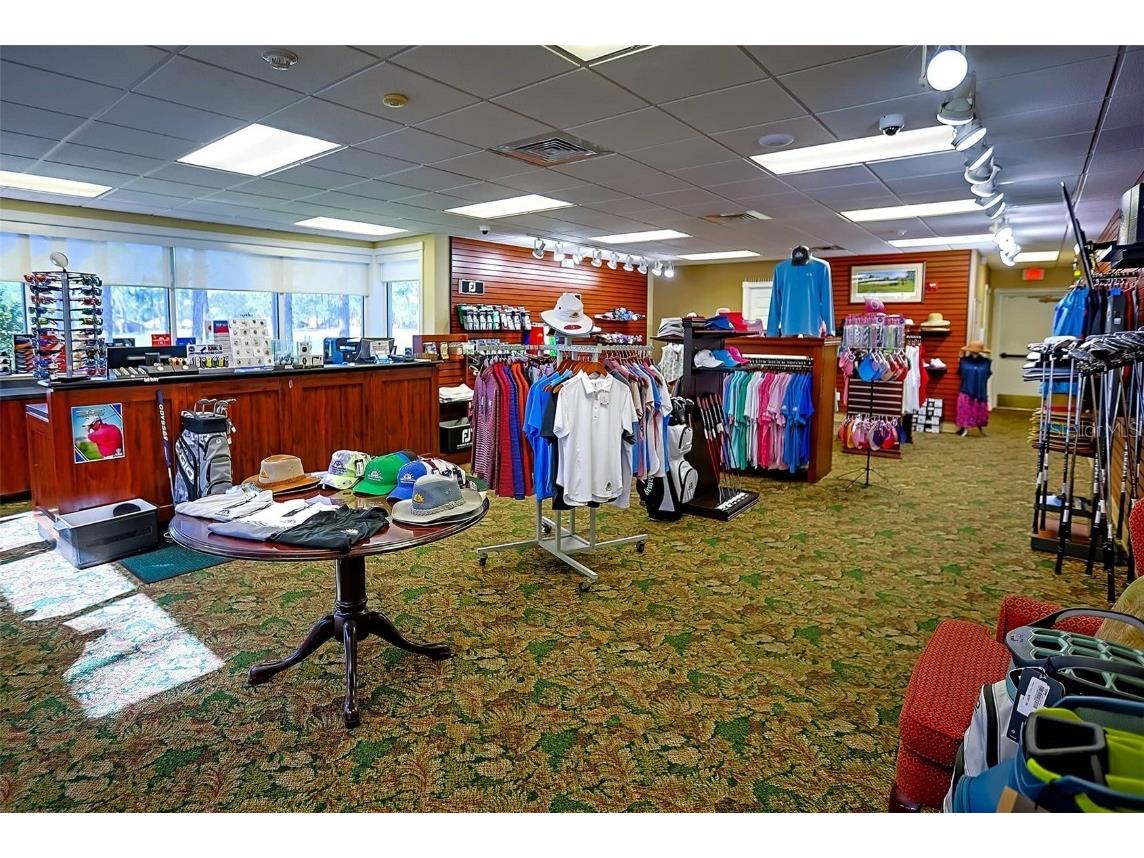 1249 Winding Willow Drive Trinity FL 34655 TB8437804 image59