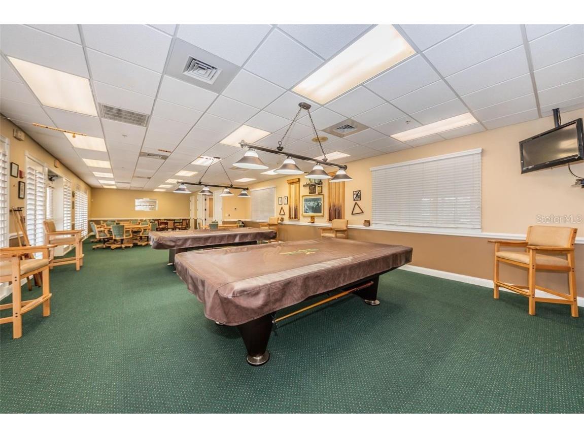 1249 Winding Willow Drive Trinity FL 34655 TB8437804 image62