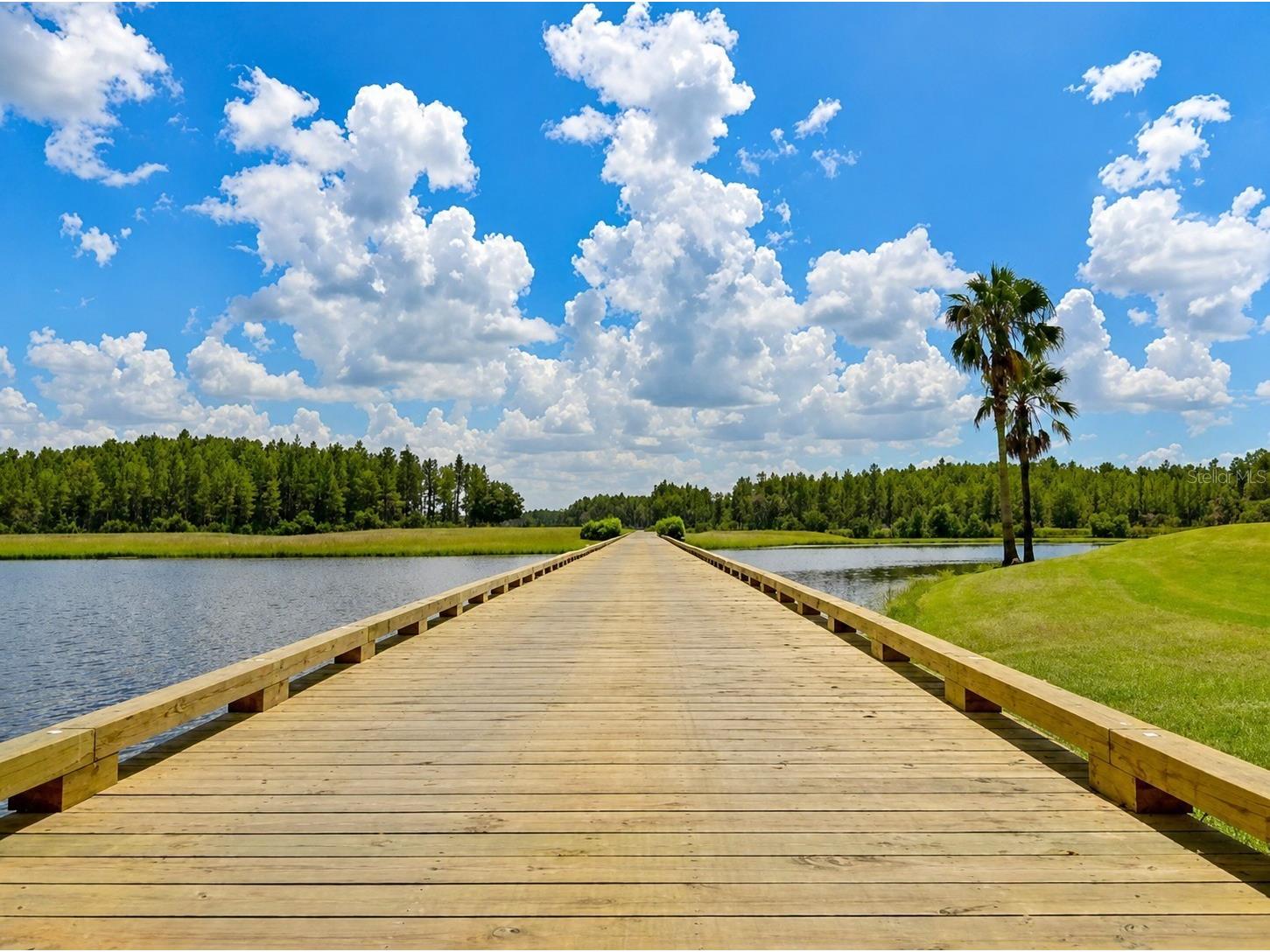 1249 Winding Willow Drive Trinity FL 34655 W7884174 image27