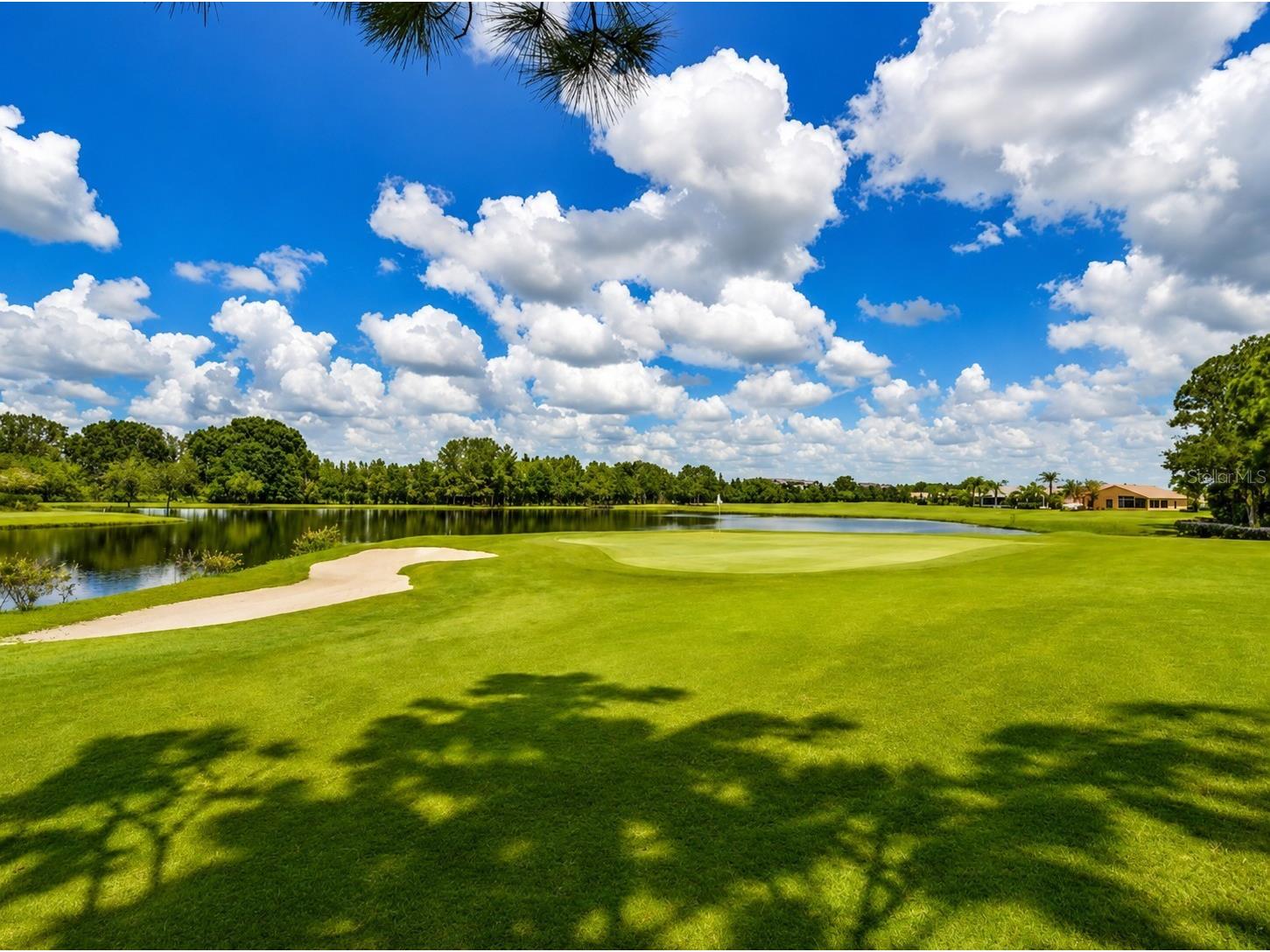 1249 Winding Willow Drive Trinity FL 34655 W7884174 image28