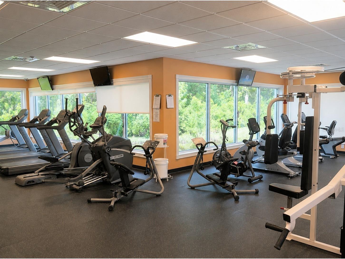 1249 Winding Willow Drive Trinity FL 34655 W7884174 image30