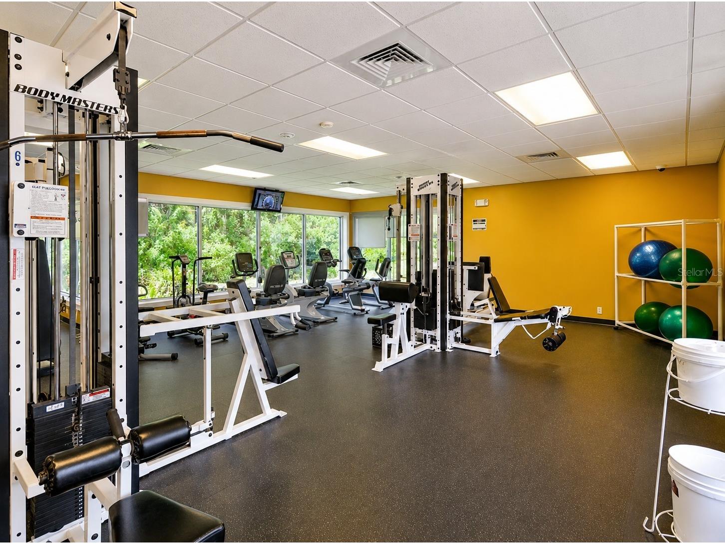 1249 Winding Willow Drive Trinity FL 34655 W7884174 image31